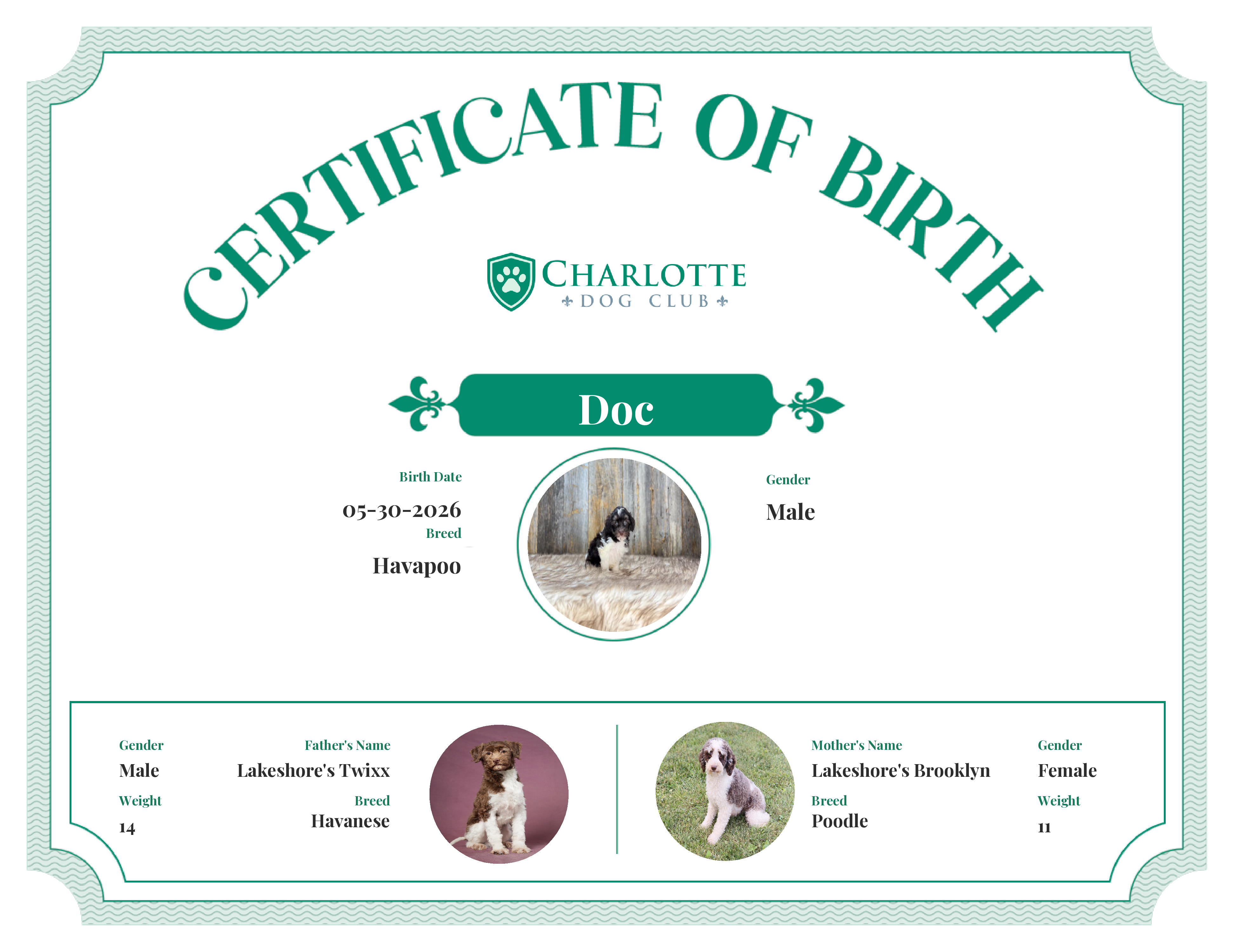 Doc's Birth Certificate
