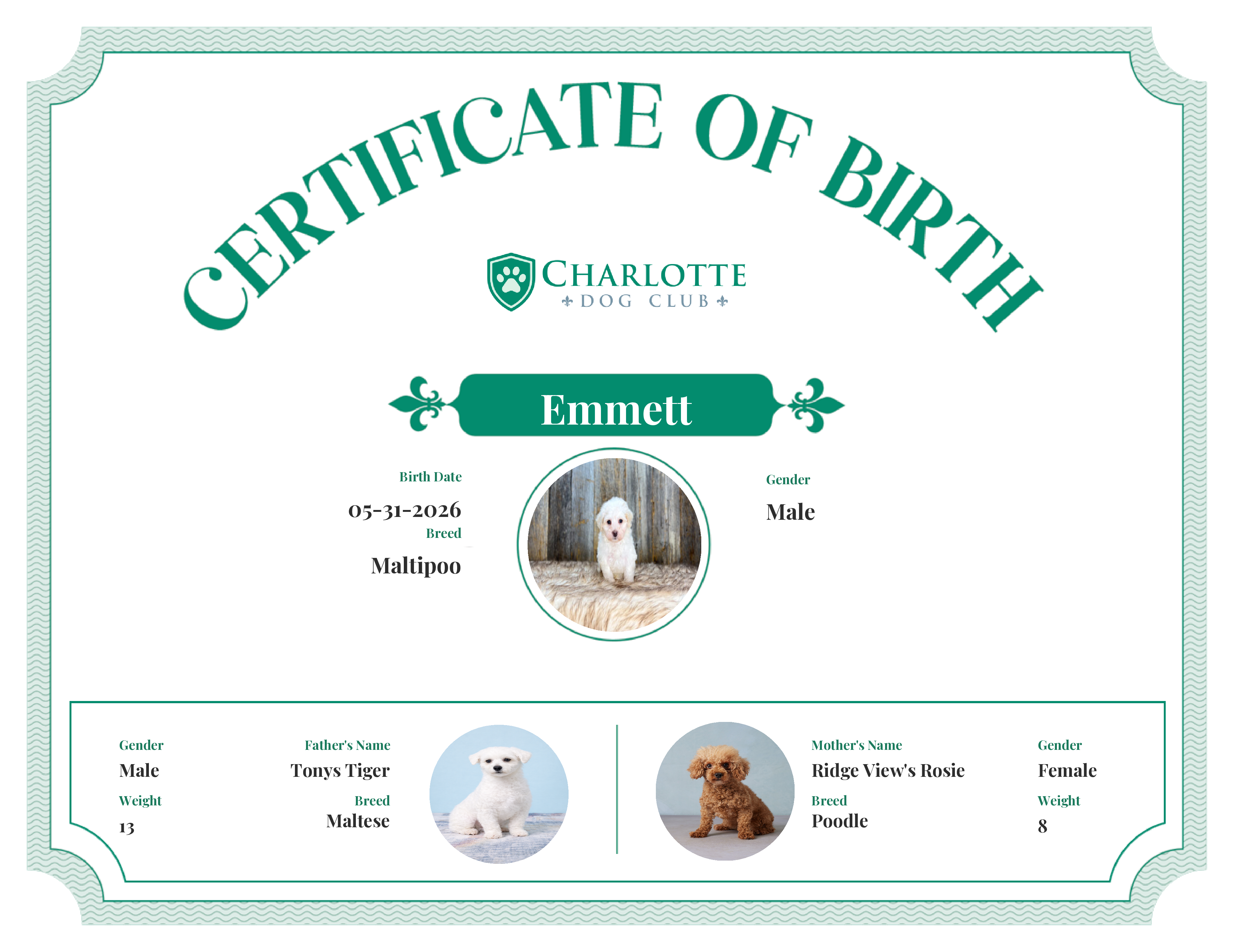 Emmett's Birth Certificate