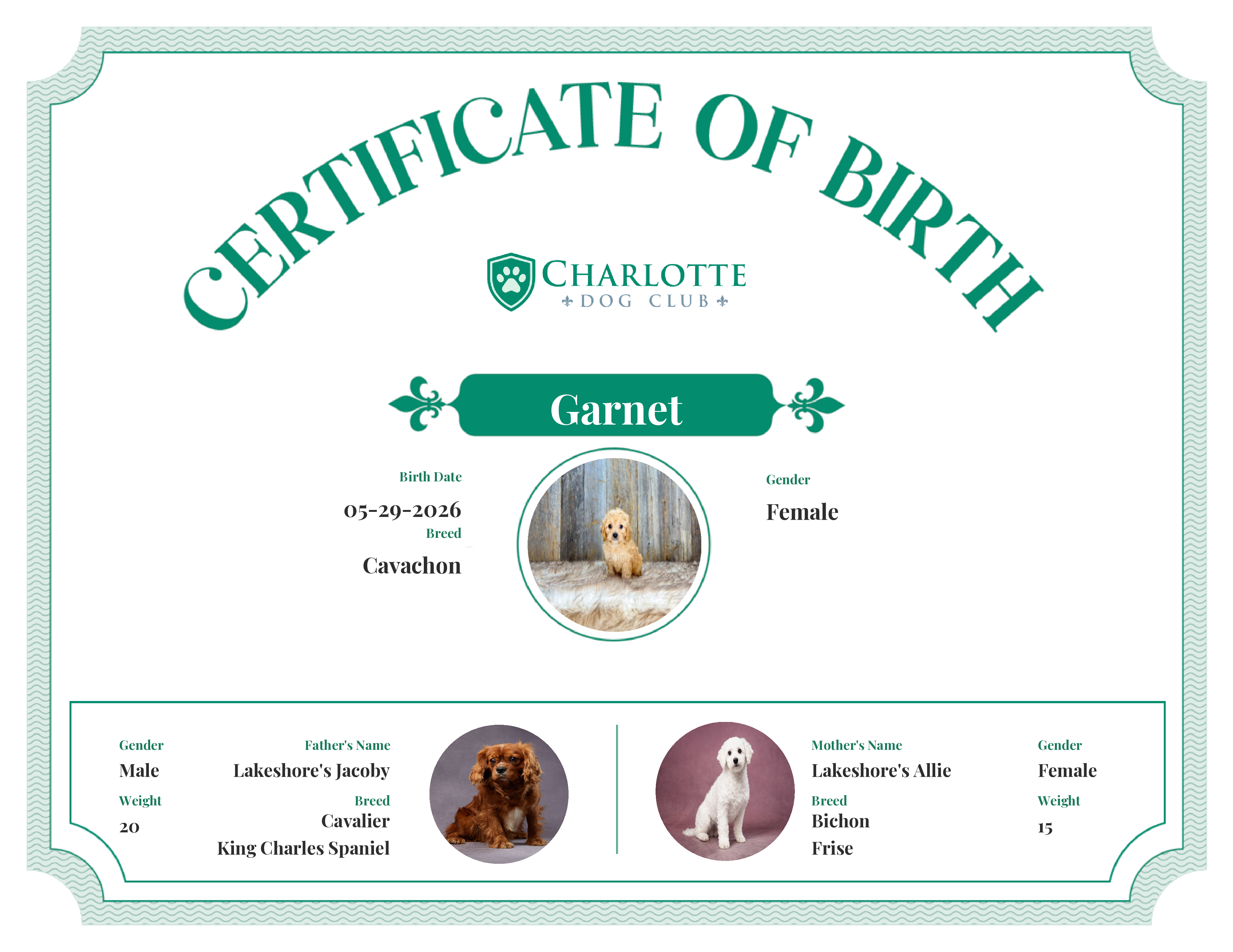 Garnet's Birth Certificate