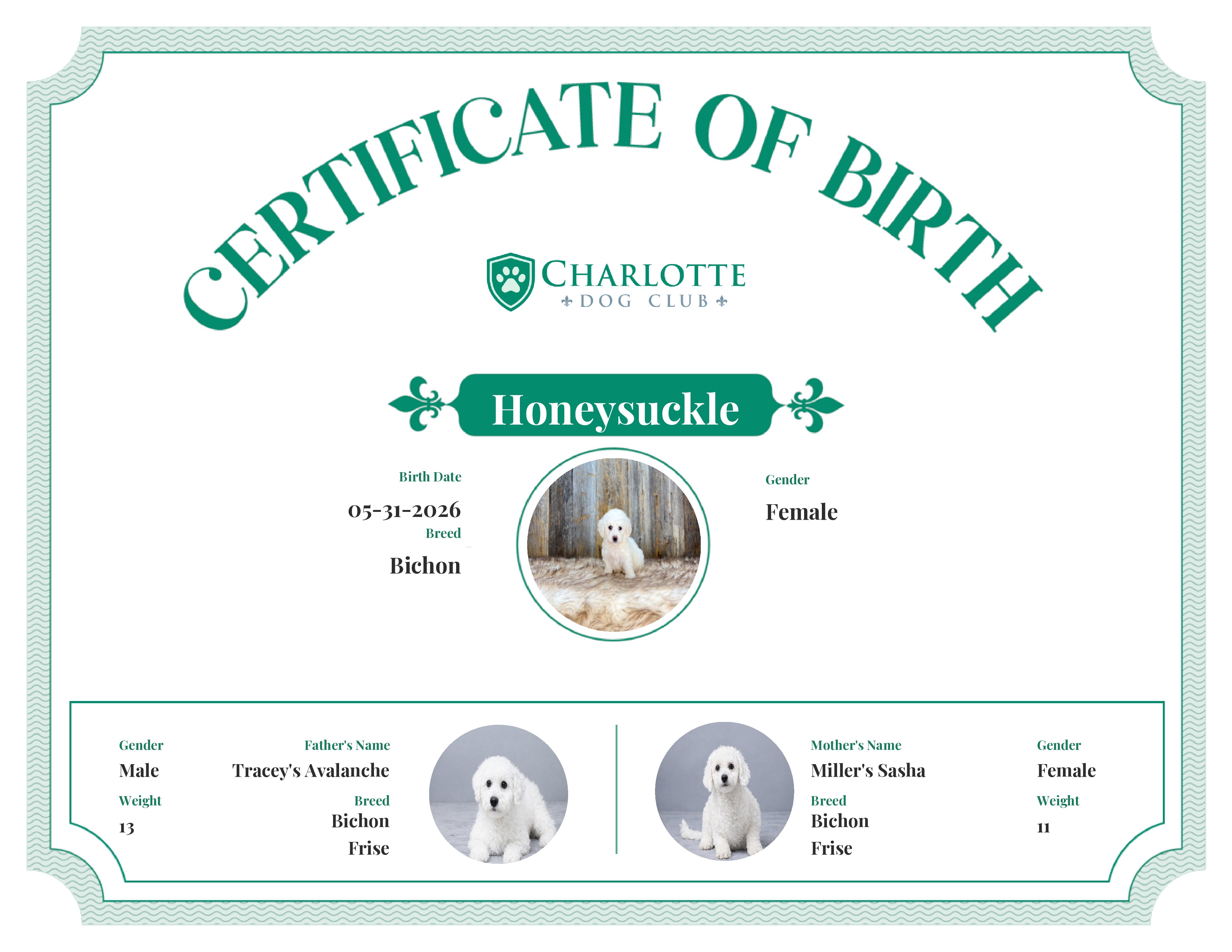 Honeysuckle's Birth Certificate