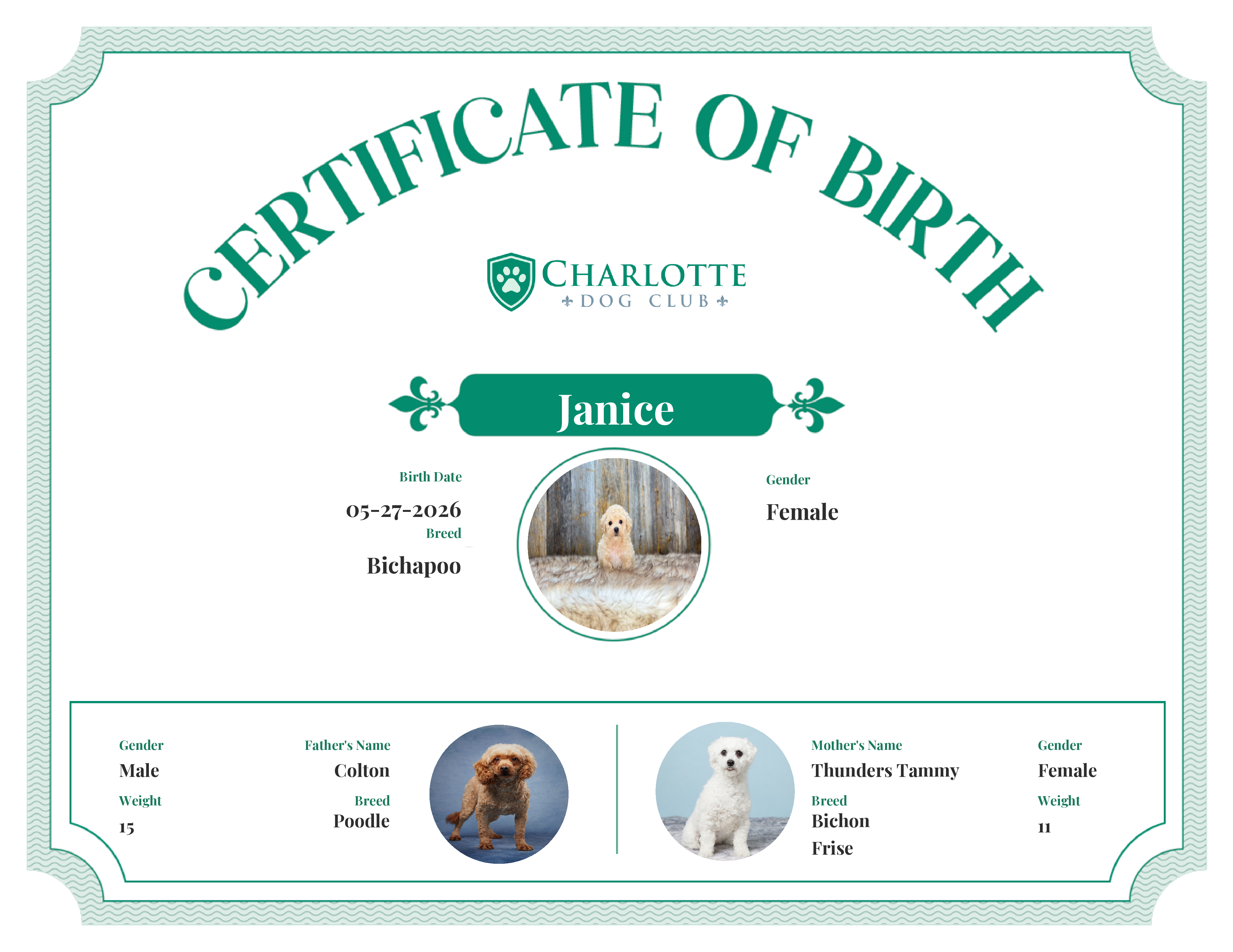 Janice's Birth Certificate