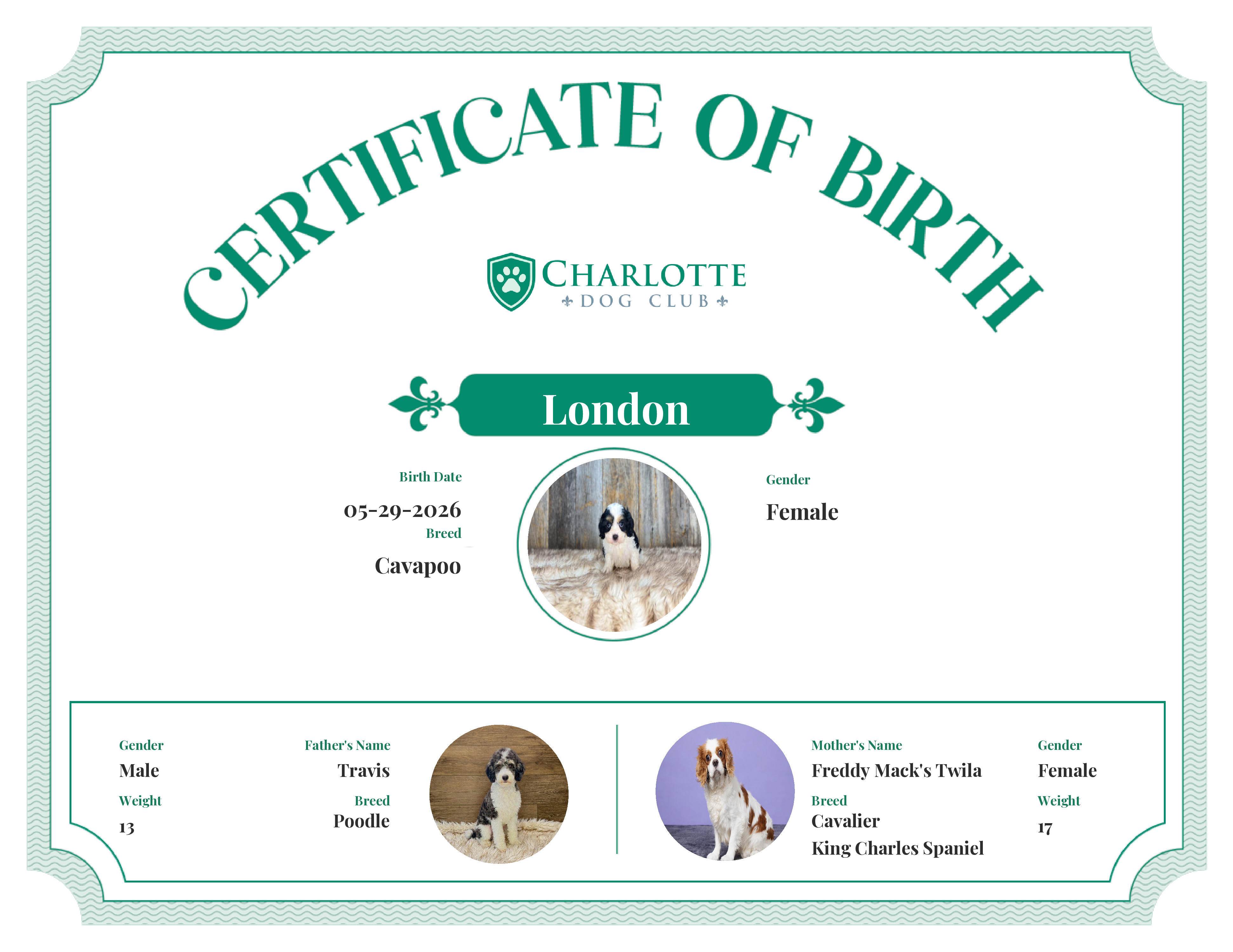London's Birth Certificate