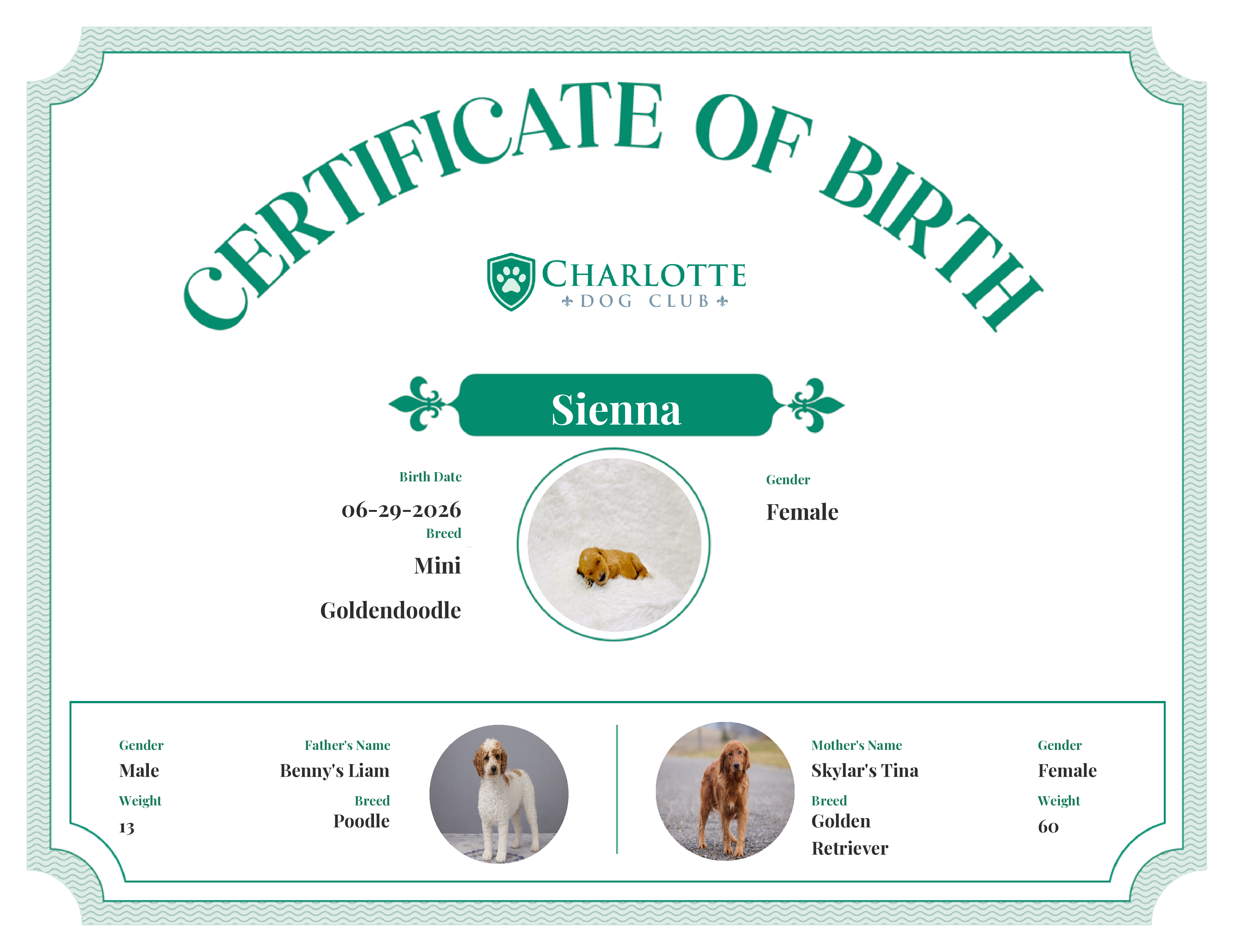 Sienna's Birth Certificate