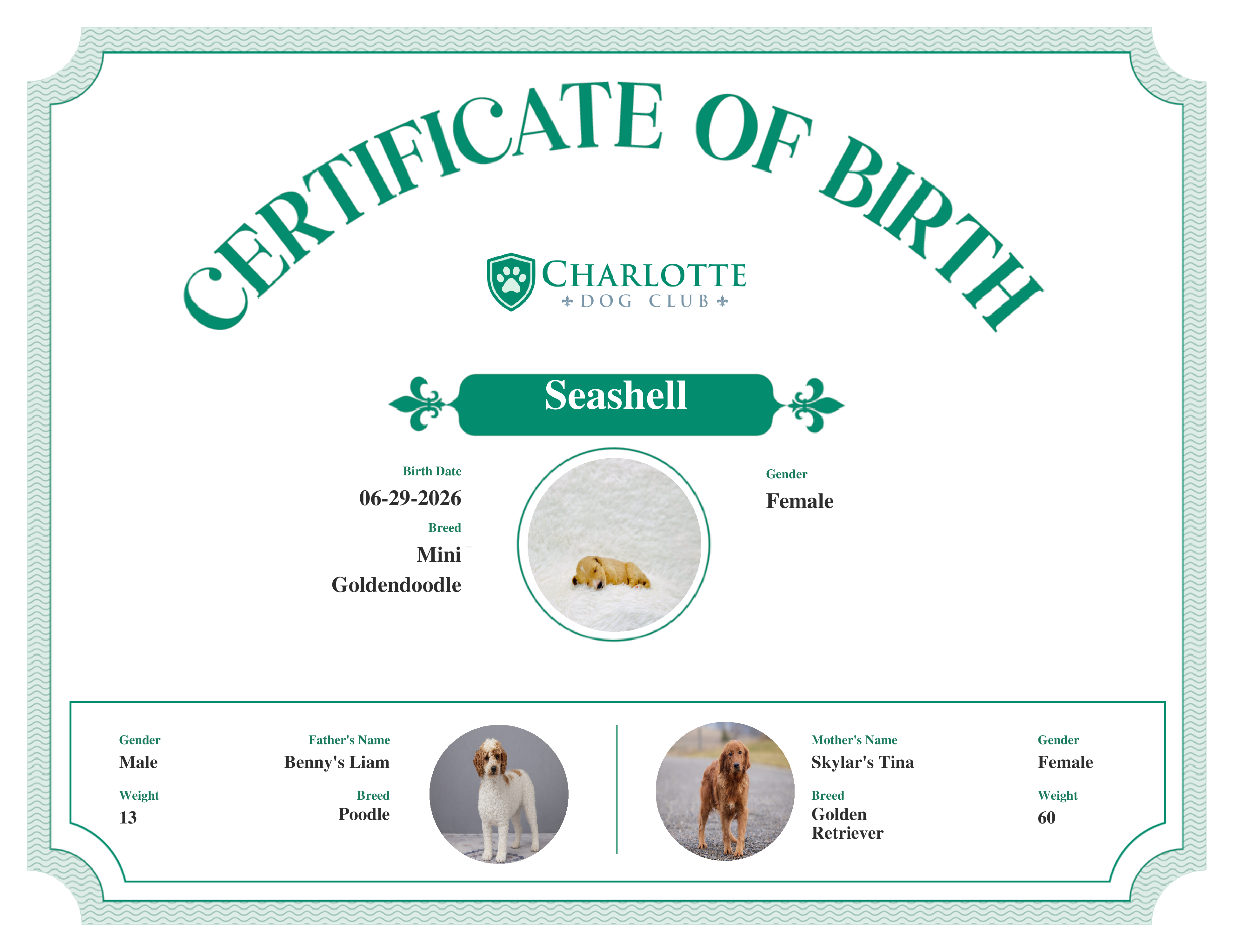 Seashell's Birth Certificate