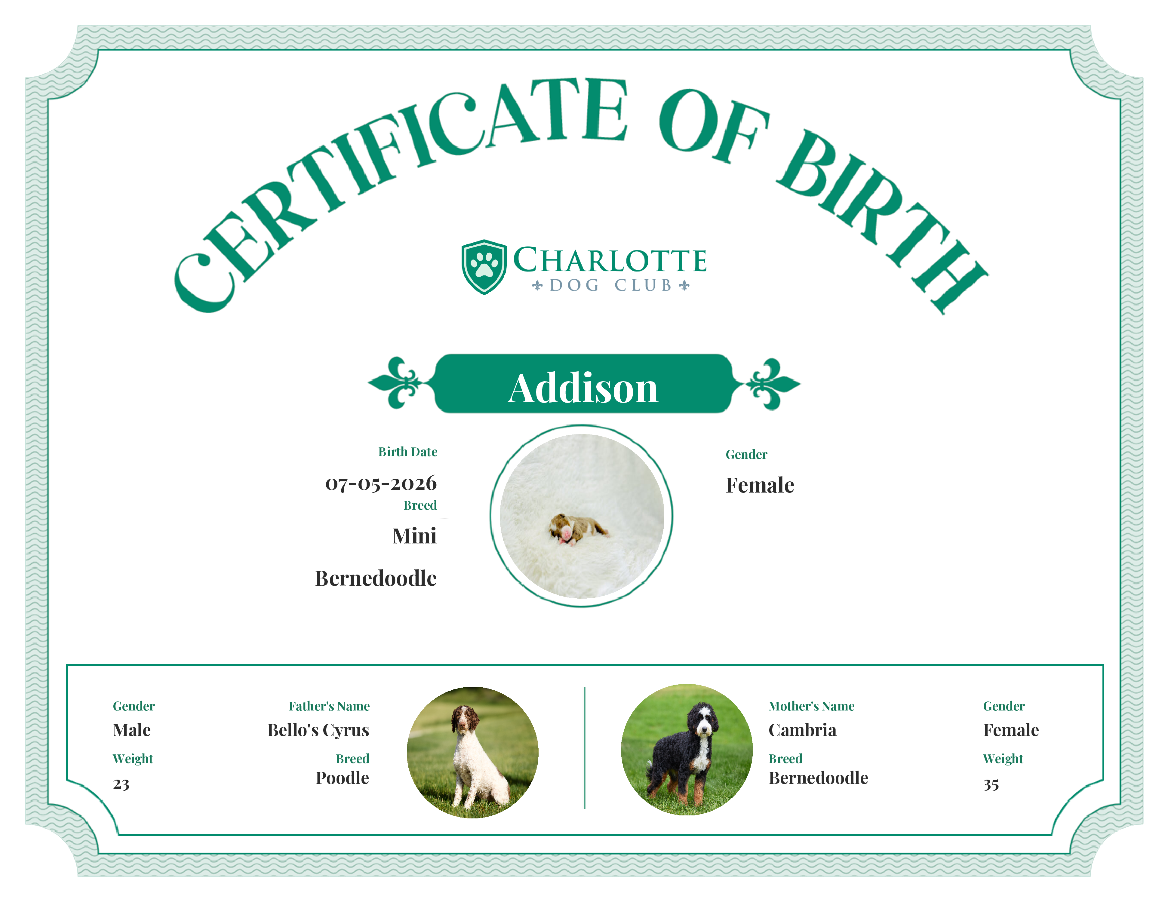 Addison's Birth Certificate