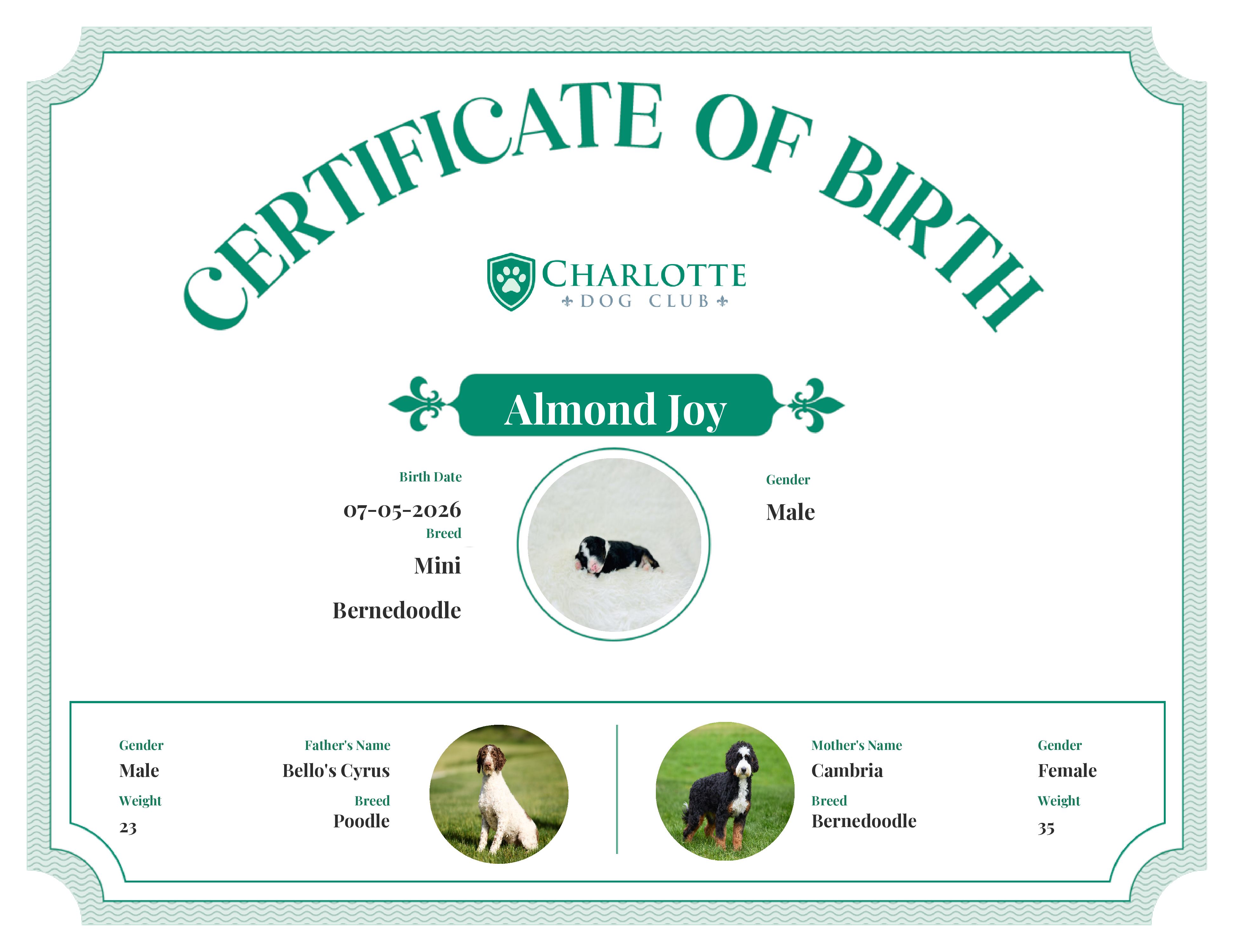 Almond Joy's Birth Certificate