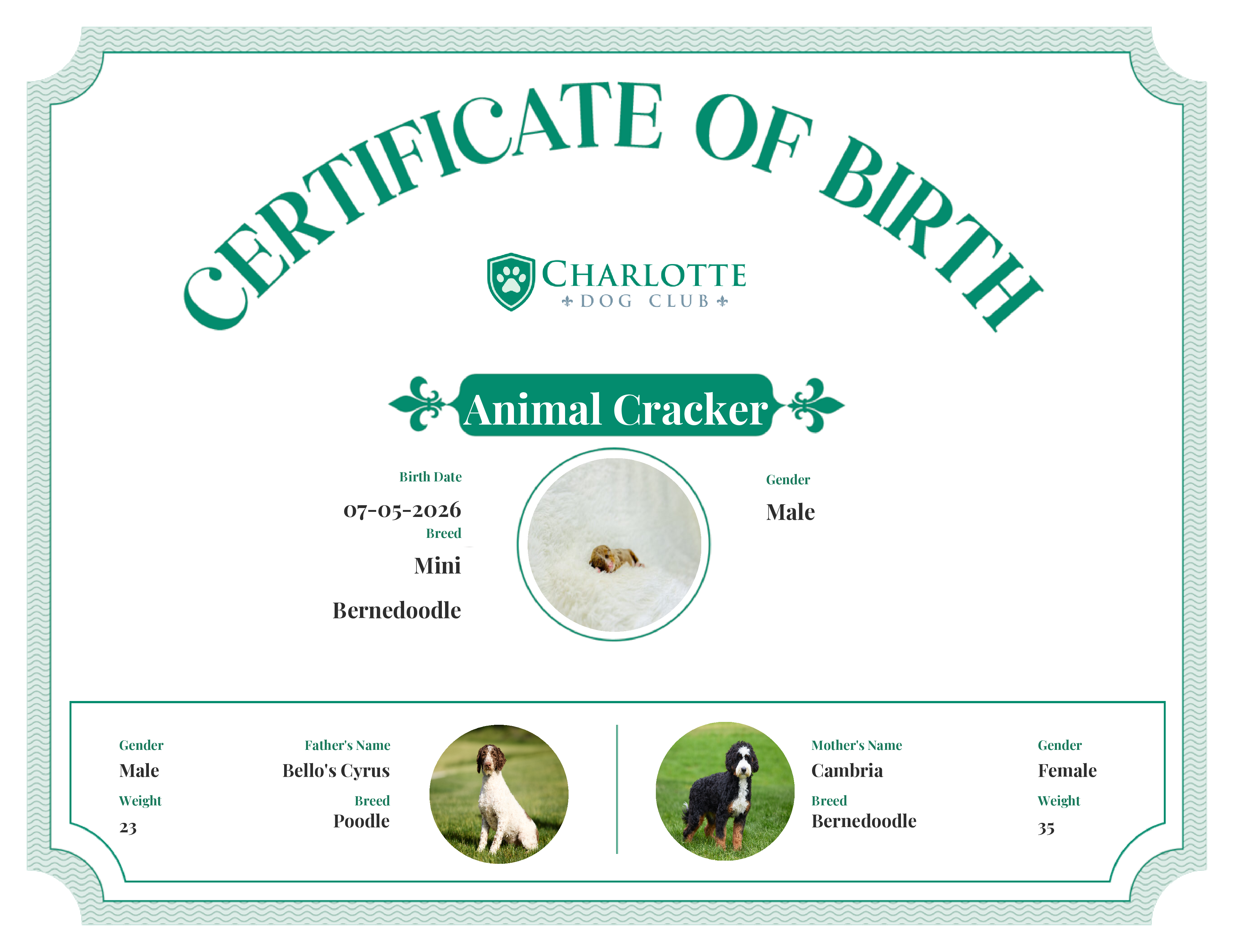 Animal Cracker's Birth Certificate