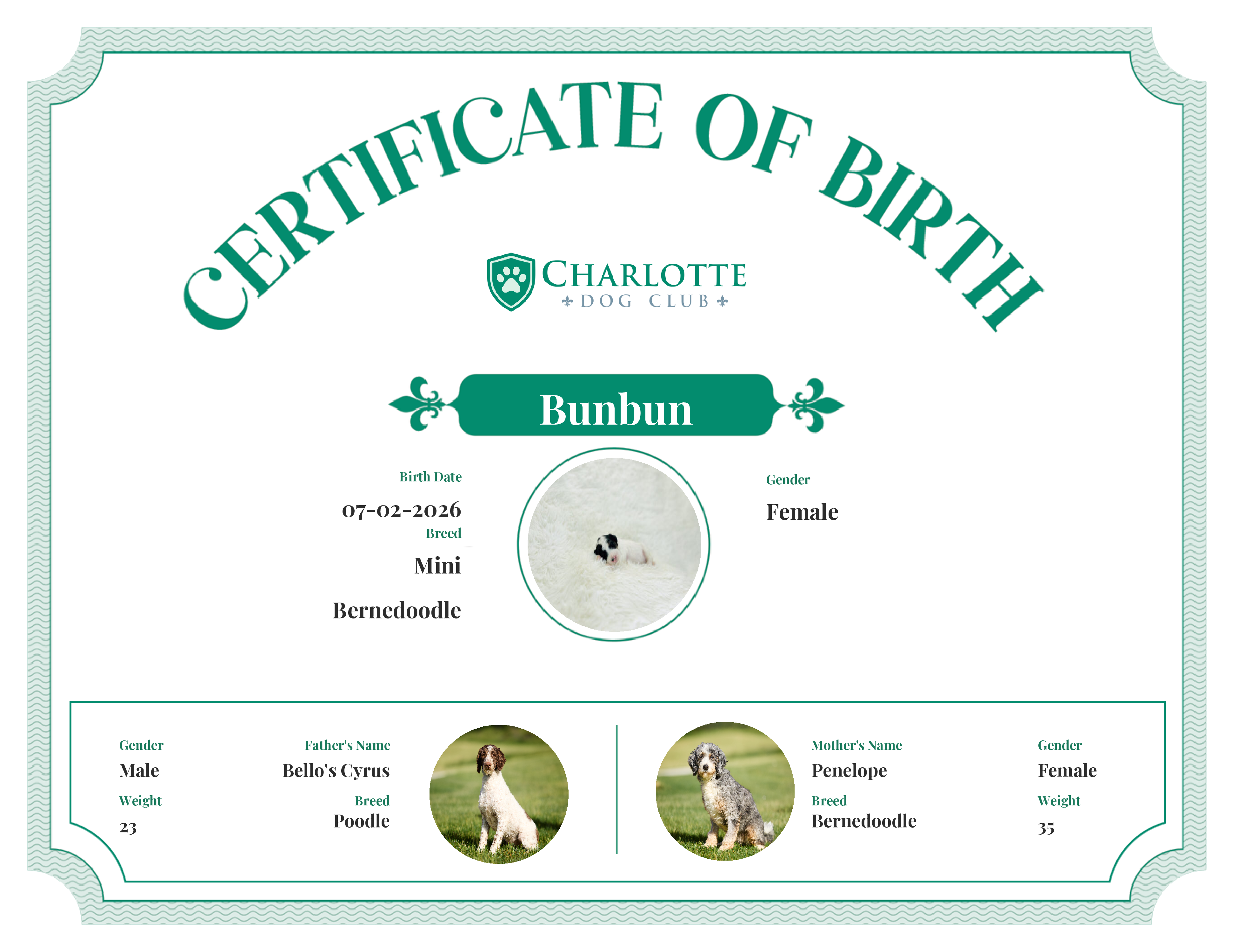 Bunbun's Birth Certificate