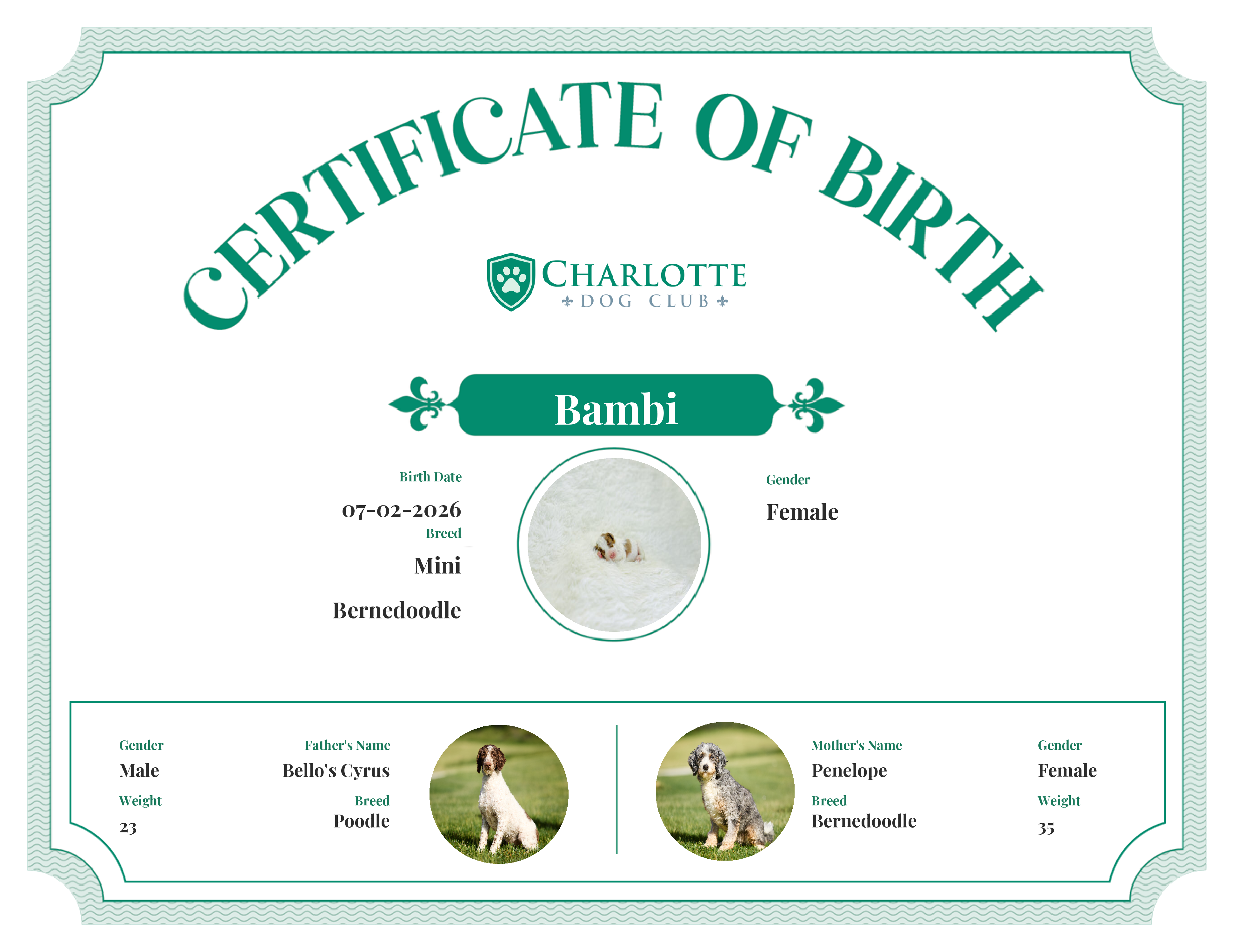 Bambi's Birth Certificate