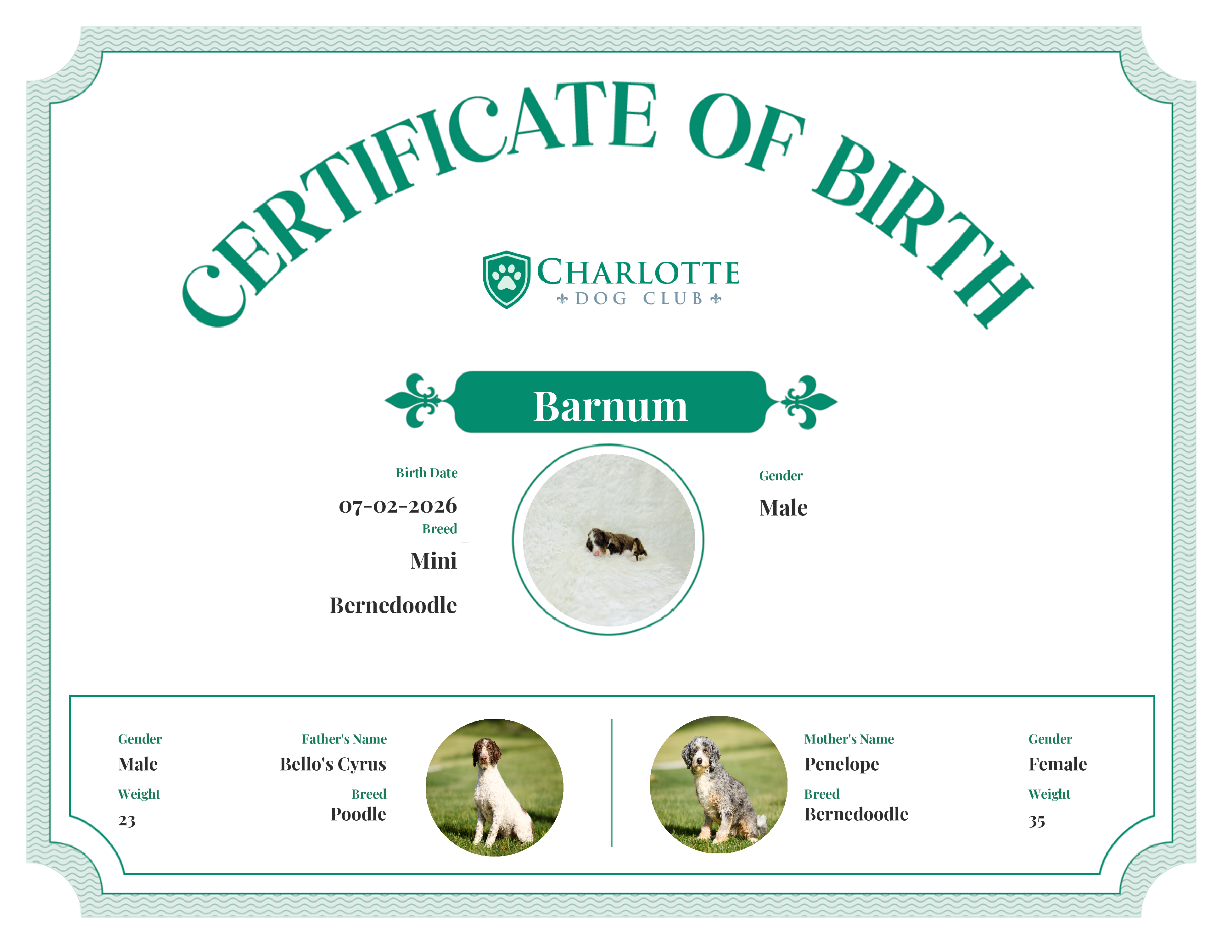 Barnum's Birth Certificate
