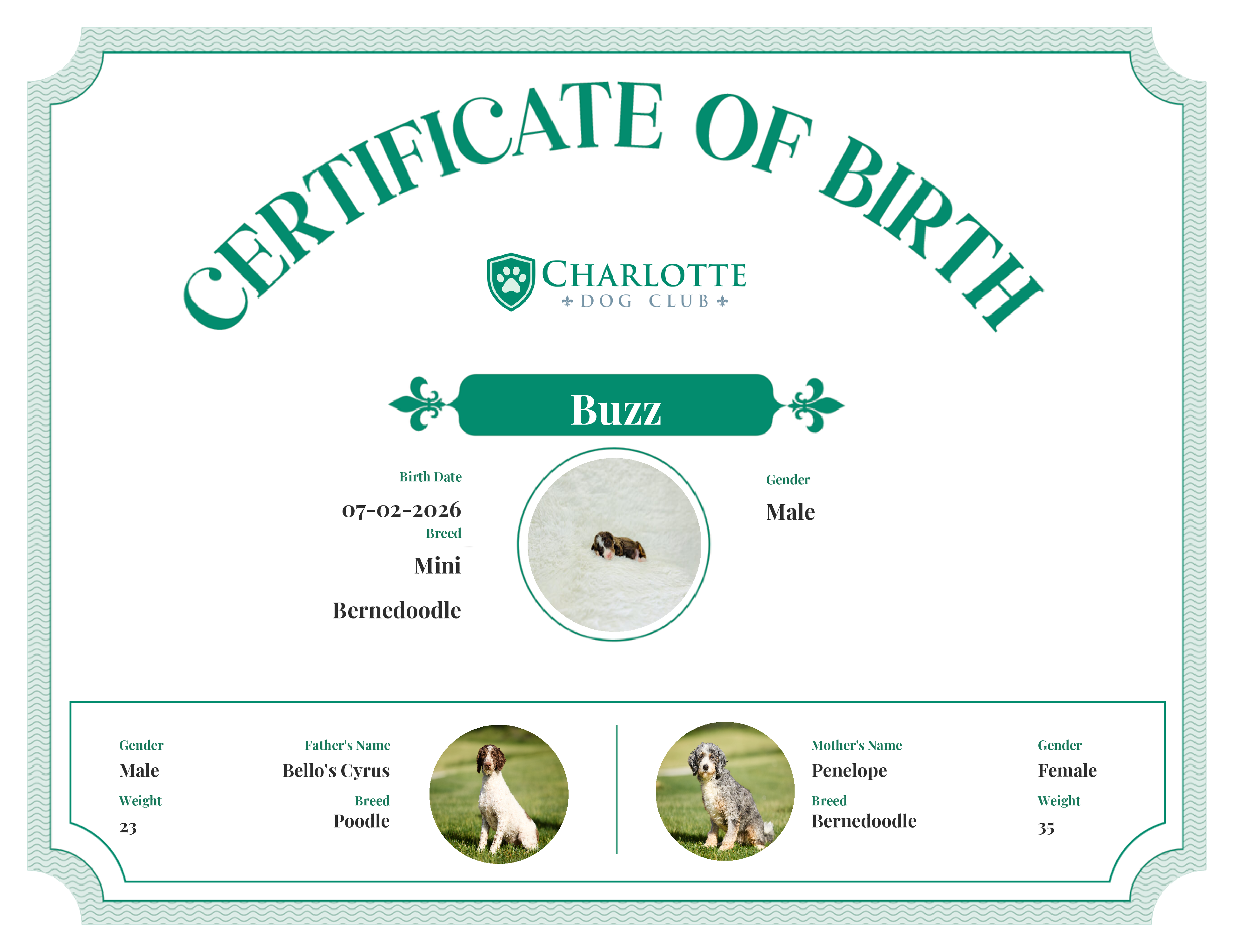 Buzz's Birth Certificate
