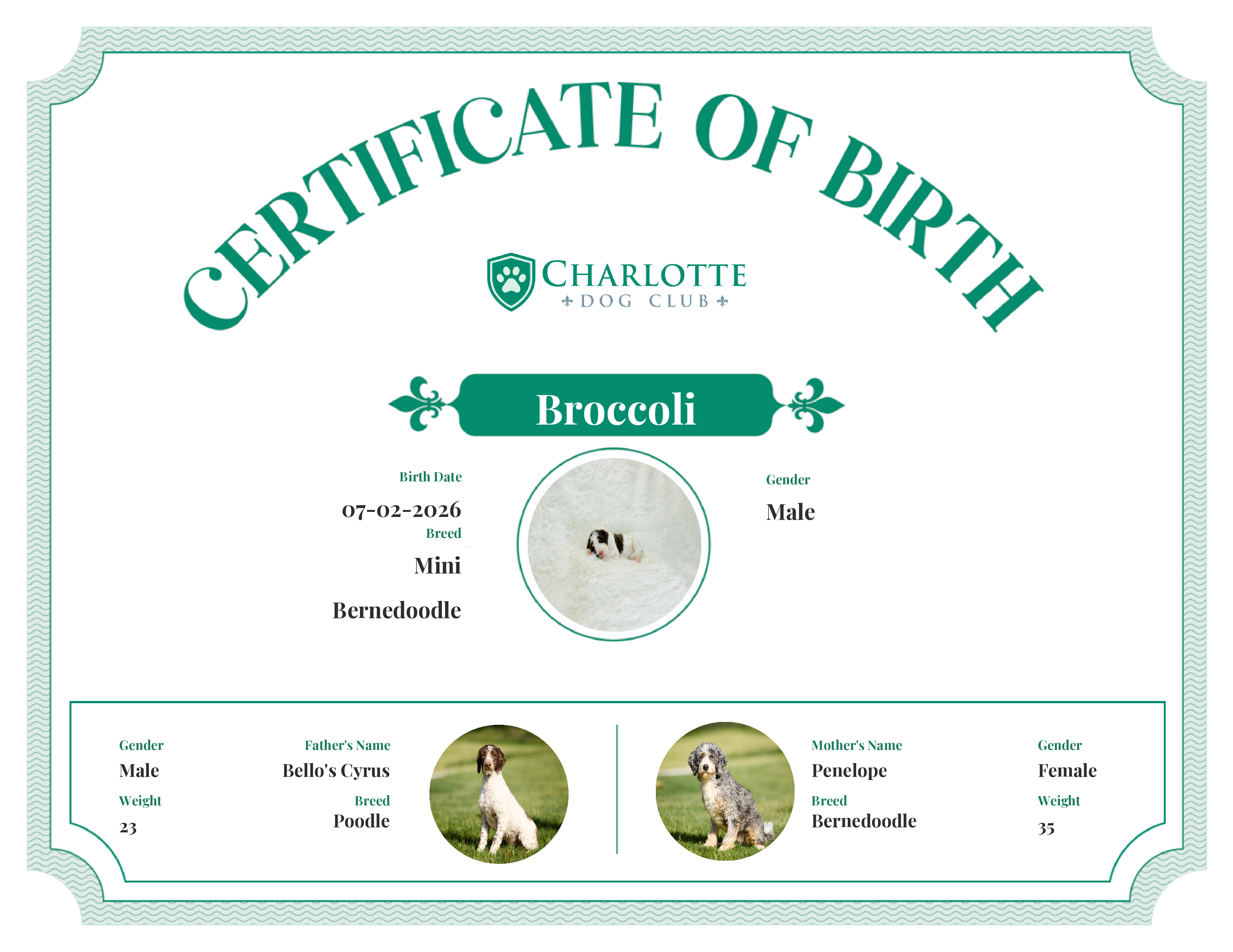 Broccoli's Birth Certificate