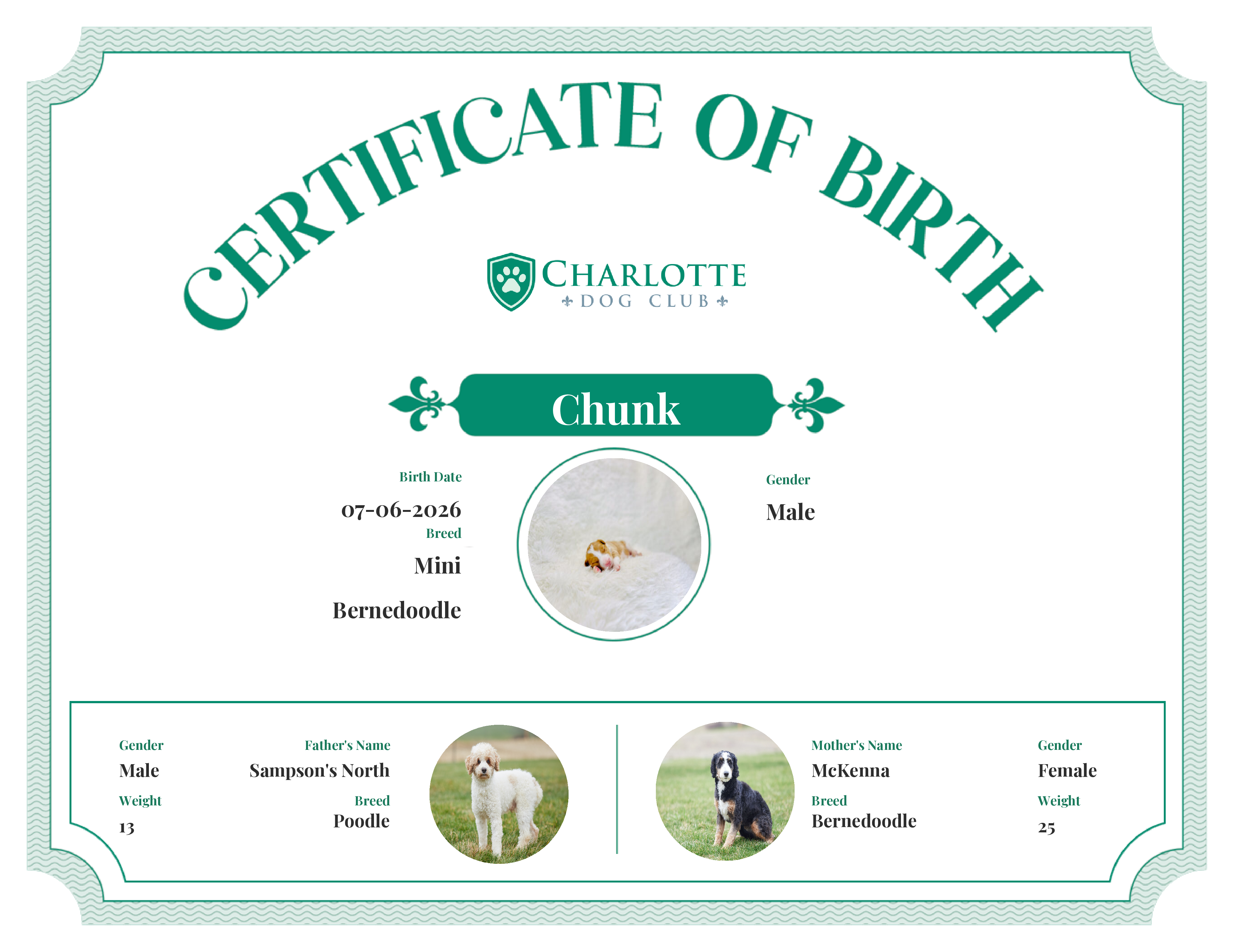 Chunk's Birth Certificate
