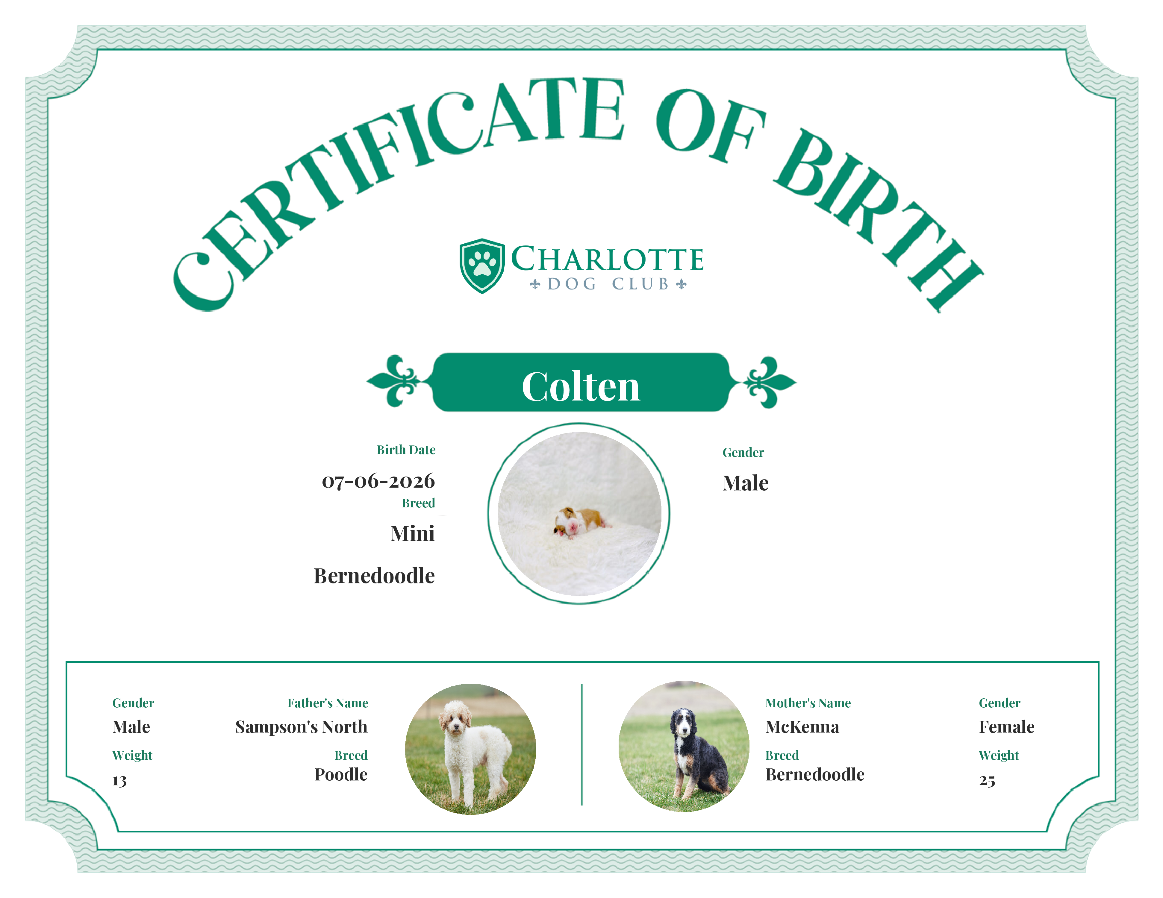 Colten's Birth Certificate