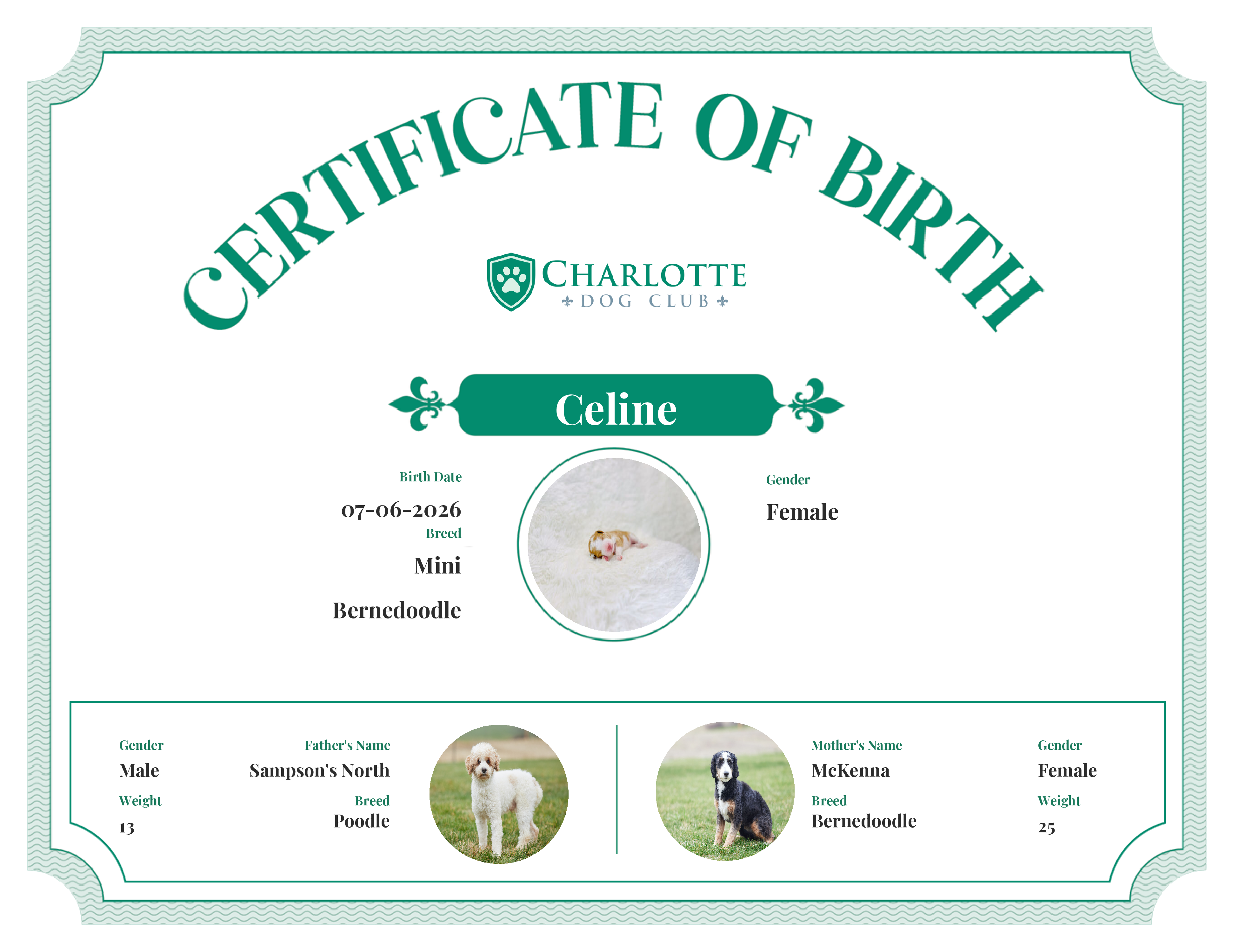Celine's Birth Certificate
