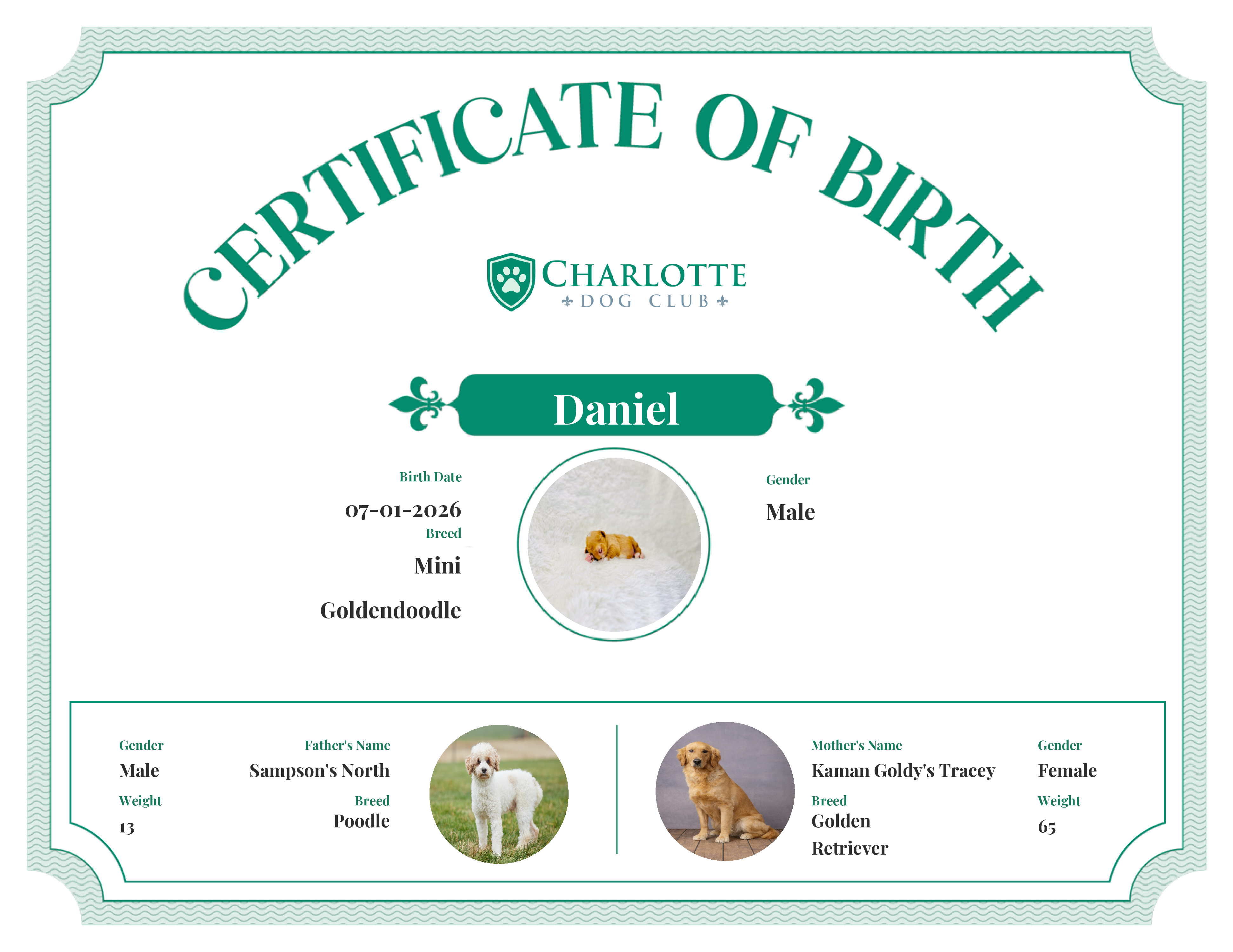 Daniel's Birth Certificate