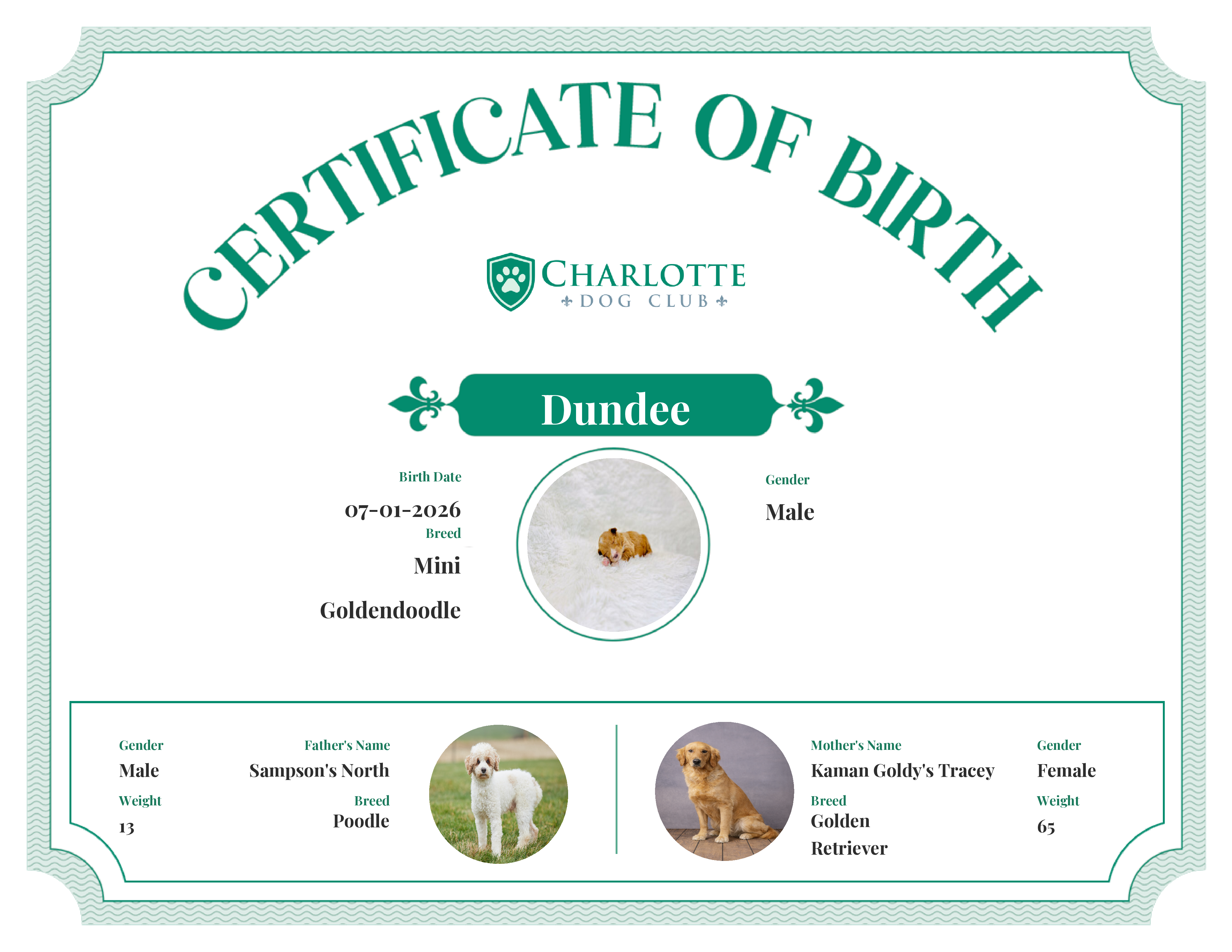 Dundee's Birth Certificate