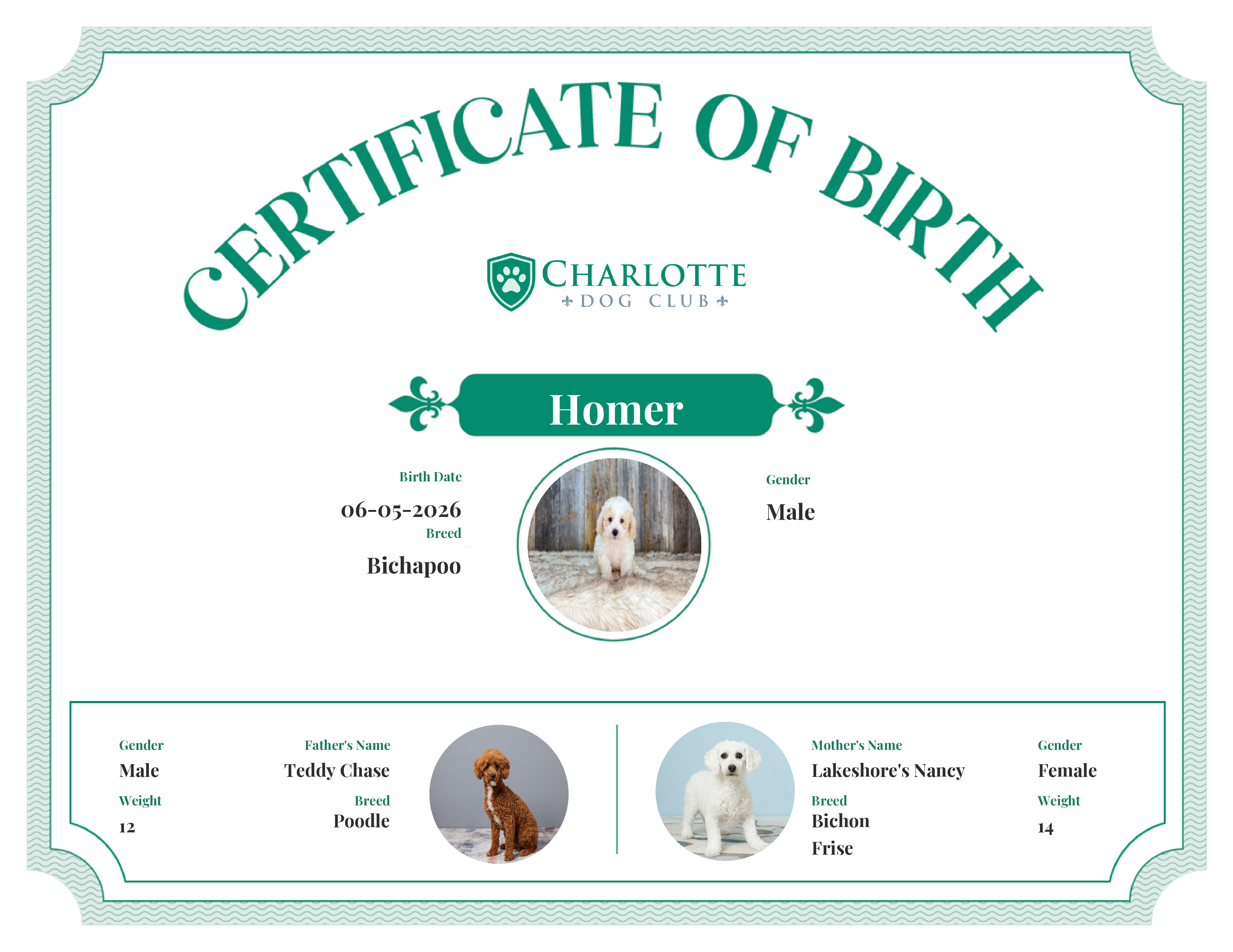Homer's Birth Certificate