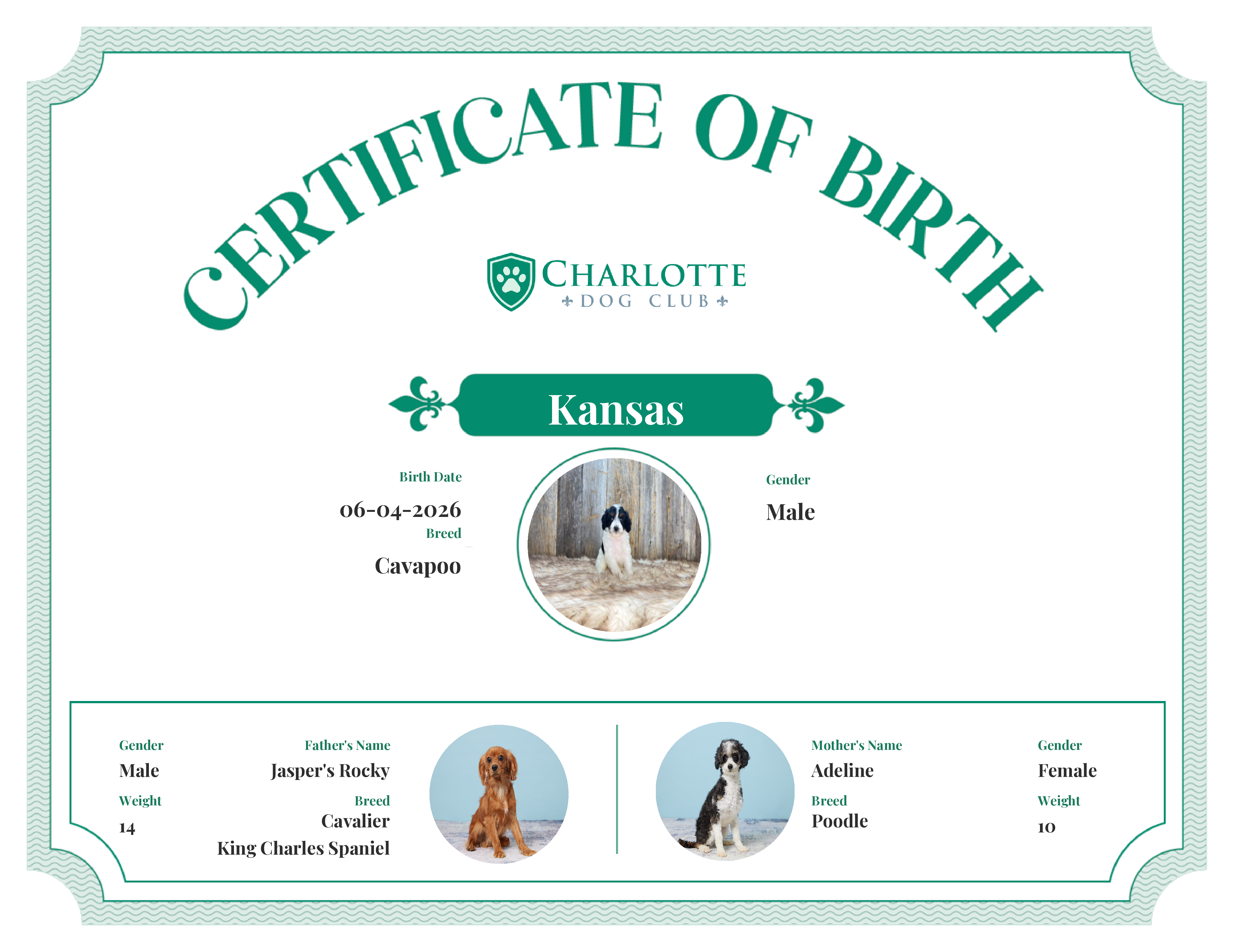 Kansas's Birth Certificate