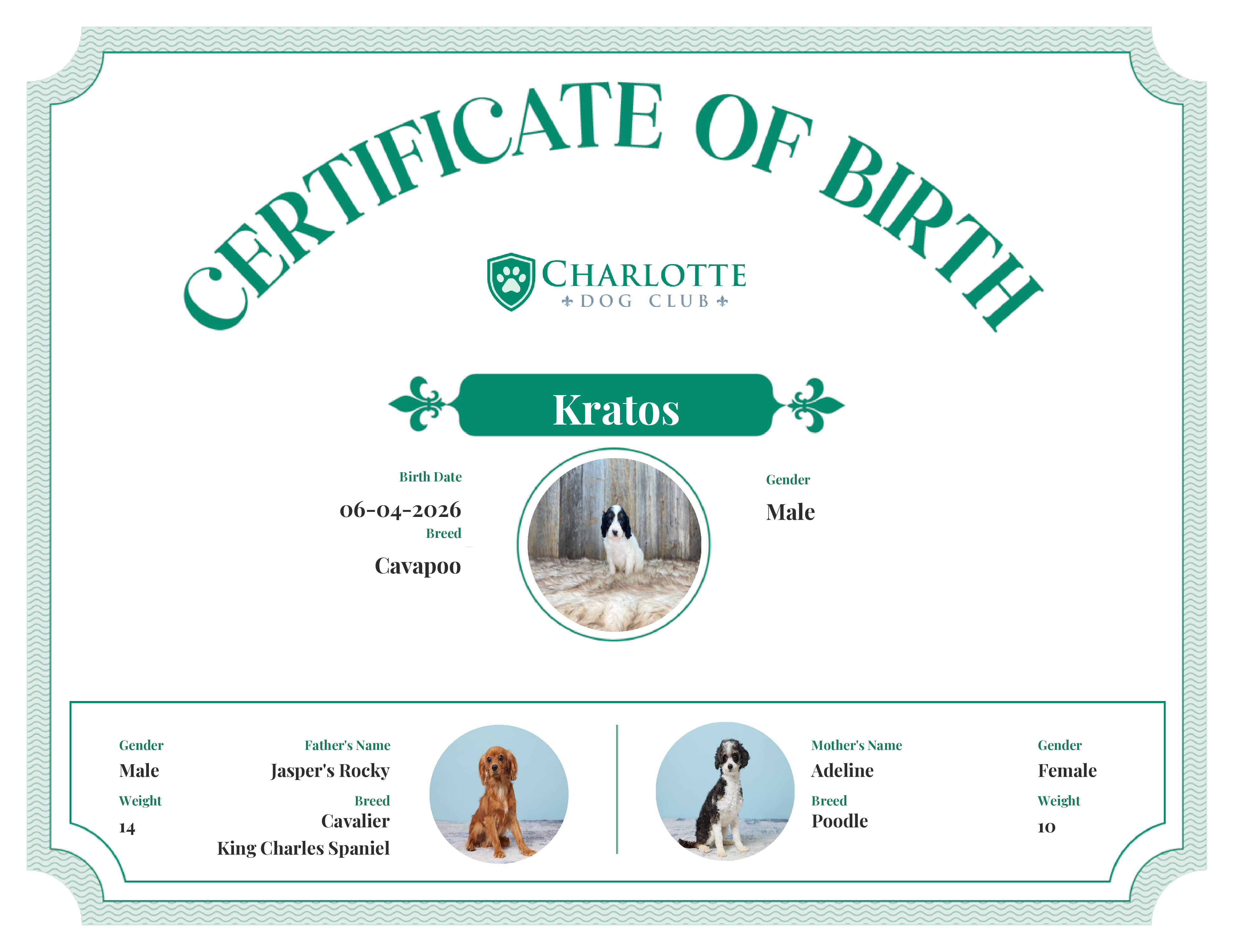 Kratos's Birth Certificate