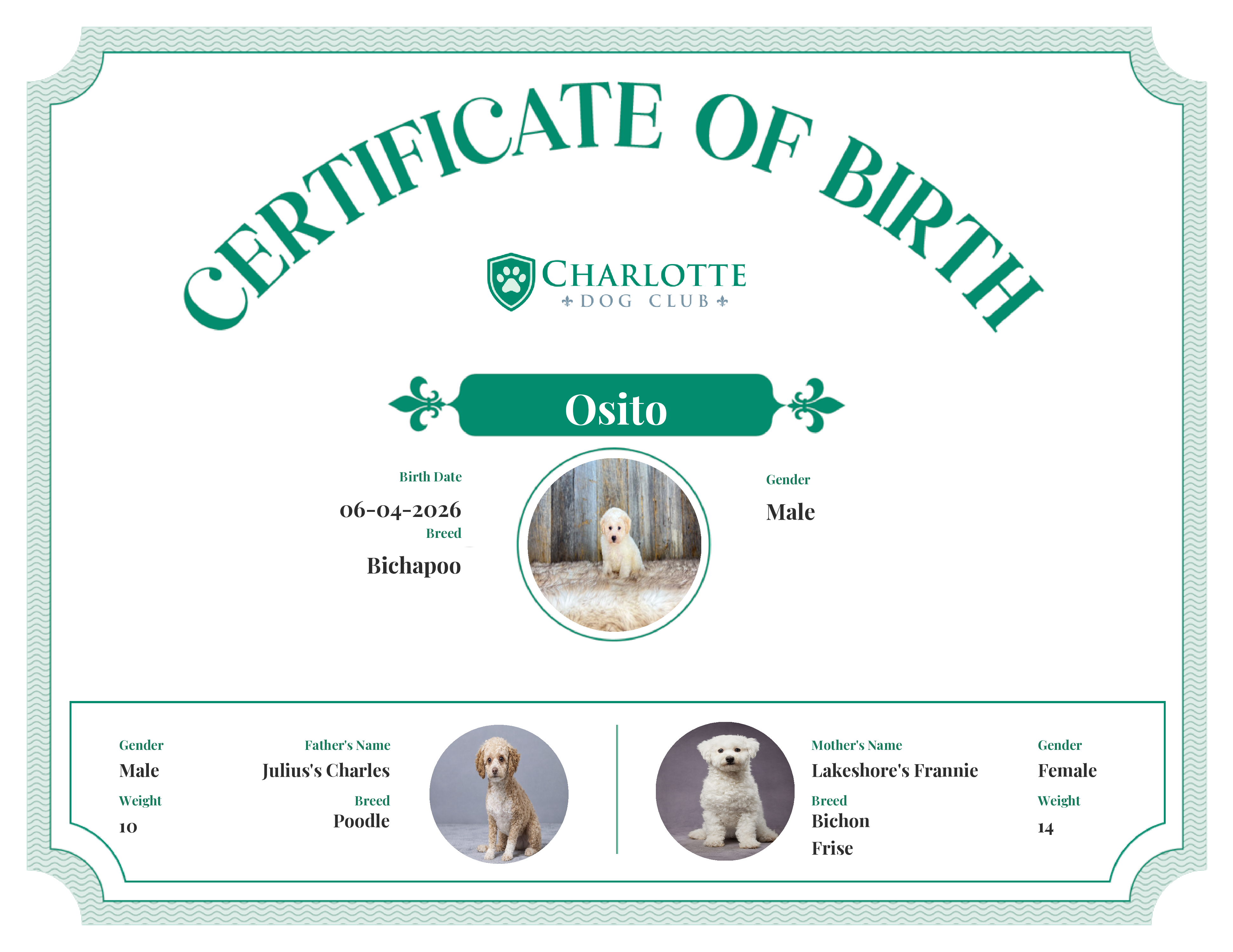 Osito's Birth Certificate