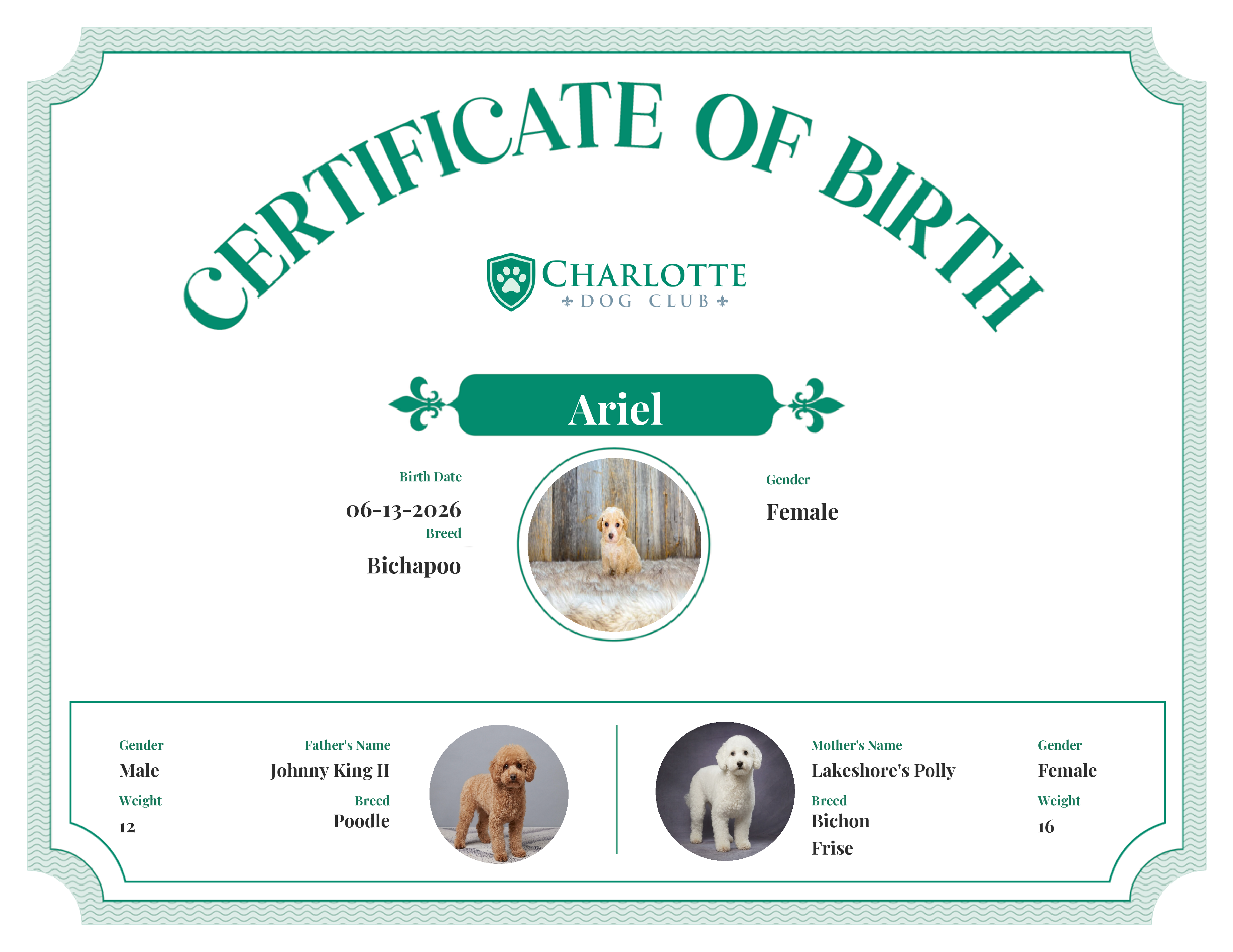 Ariel's Birth Certificate
