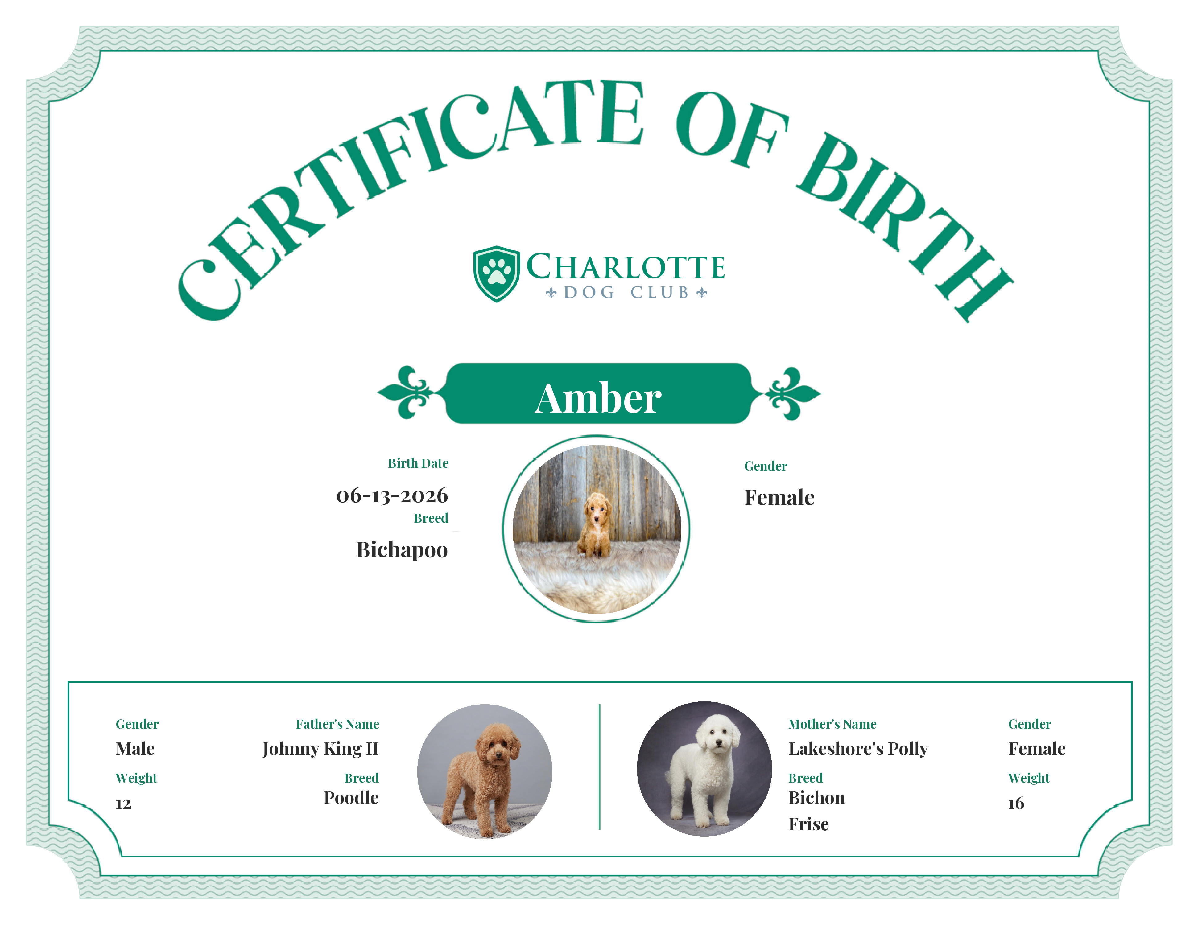 Amber's Birth Certificate