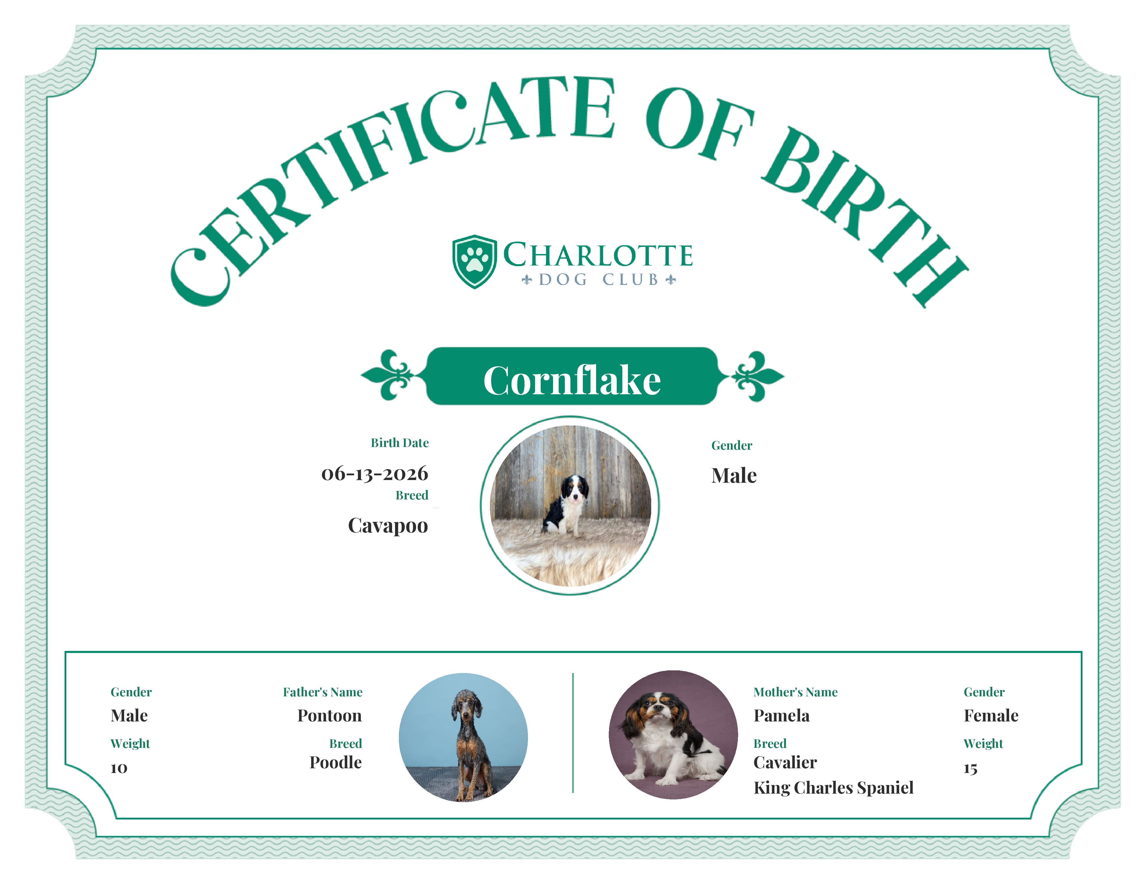 Cornflake's Birth Certificate