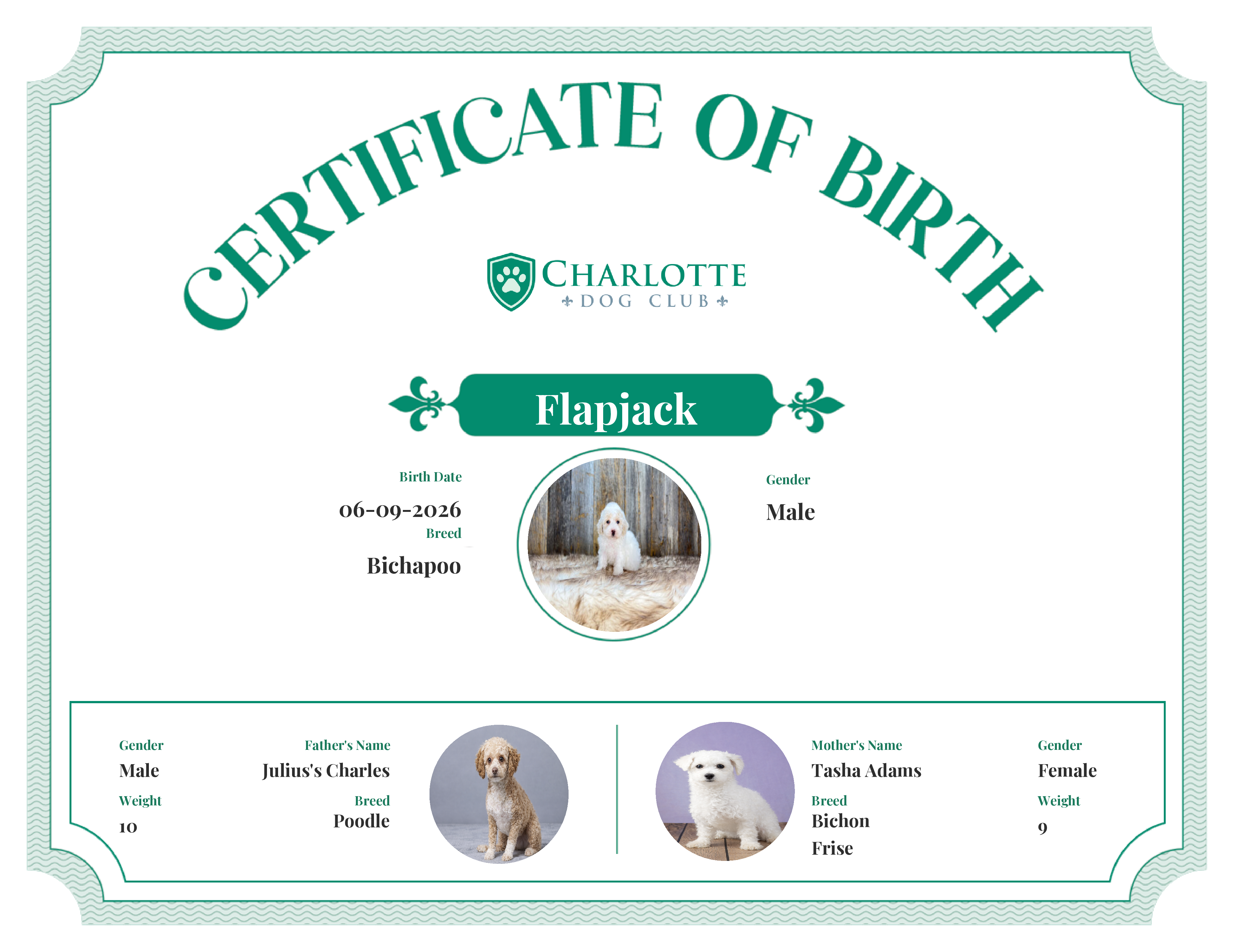 Flapjack's Birth Certificate