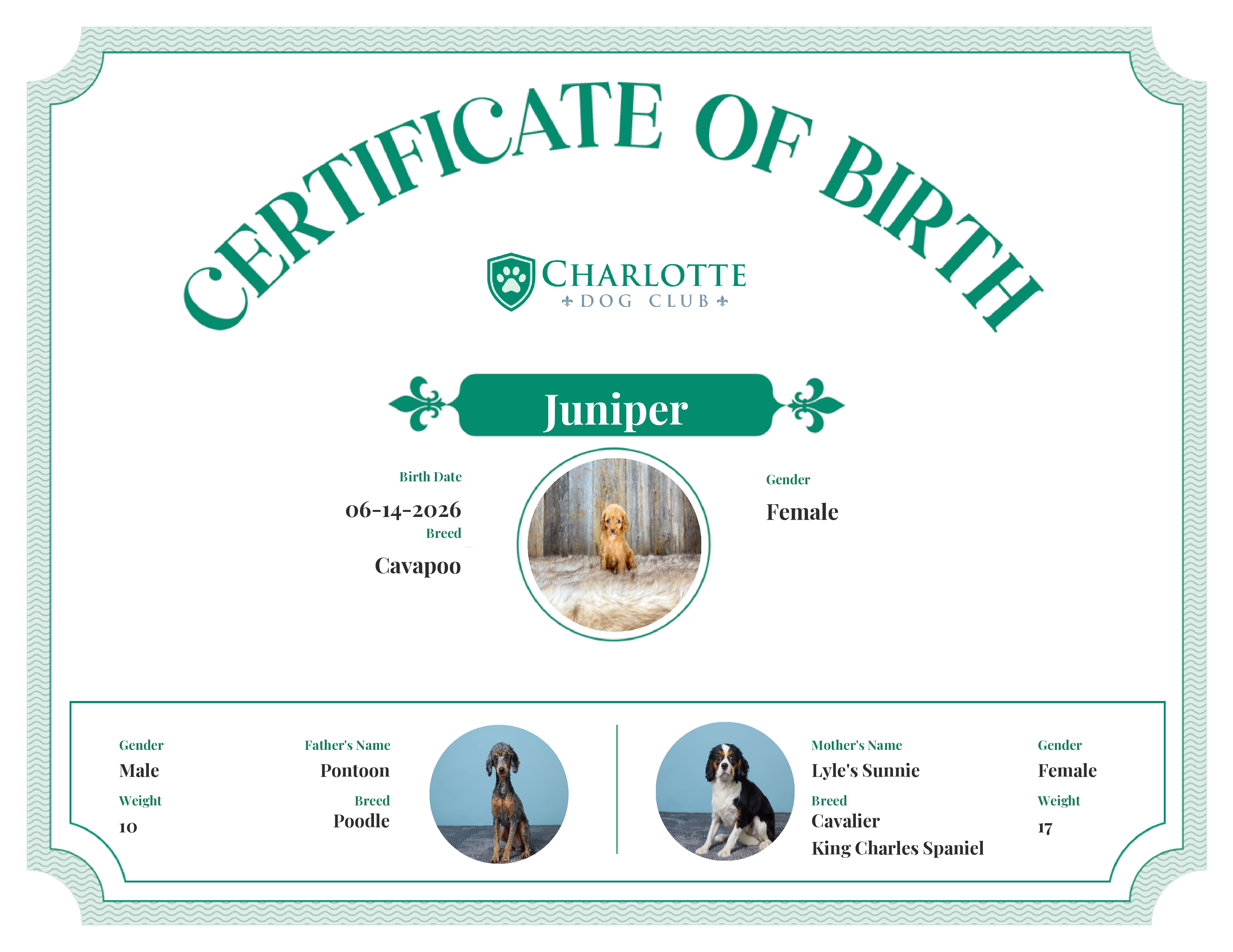Juniper's Birth Certificate