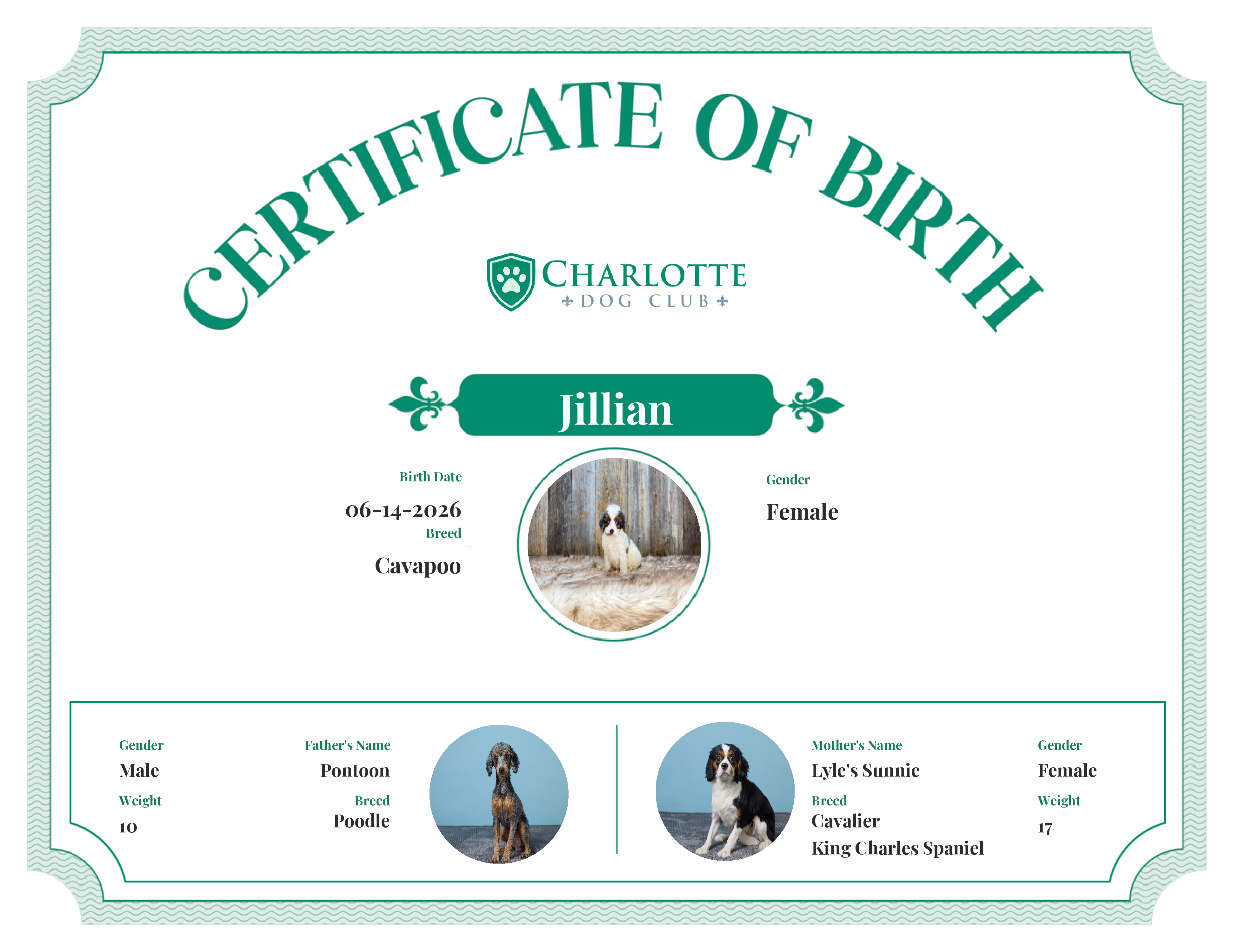Jillian's Birth Certificate