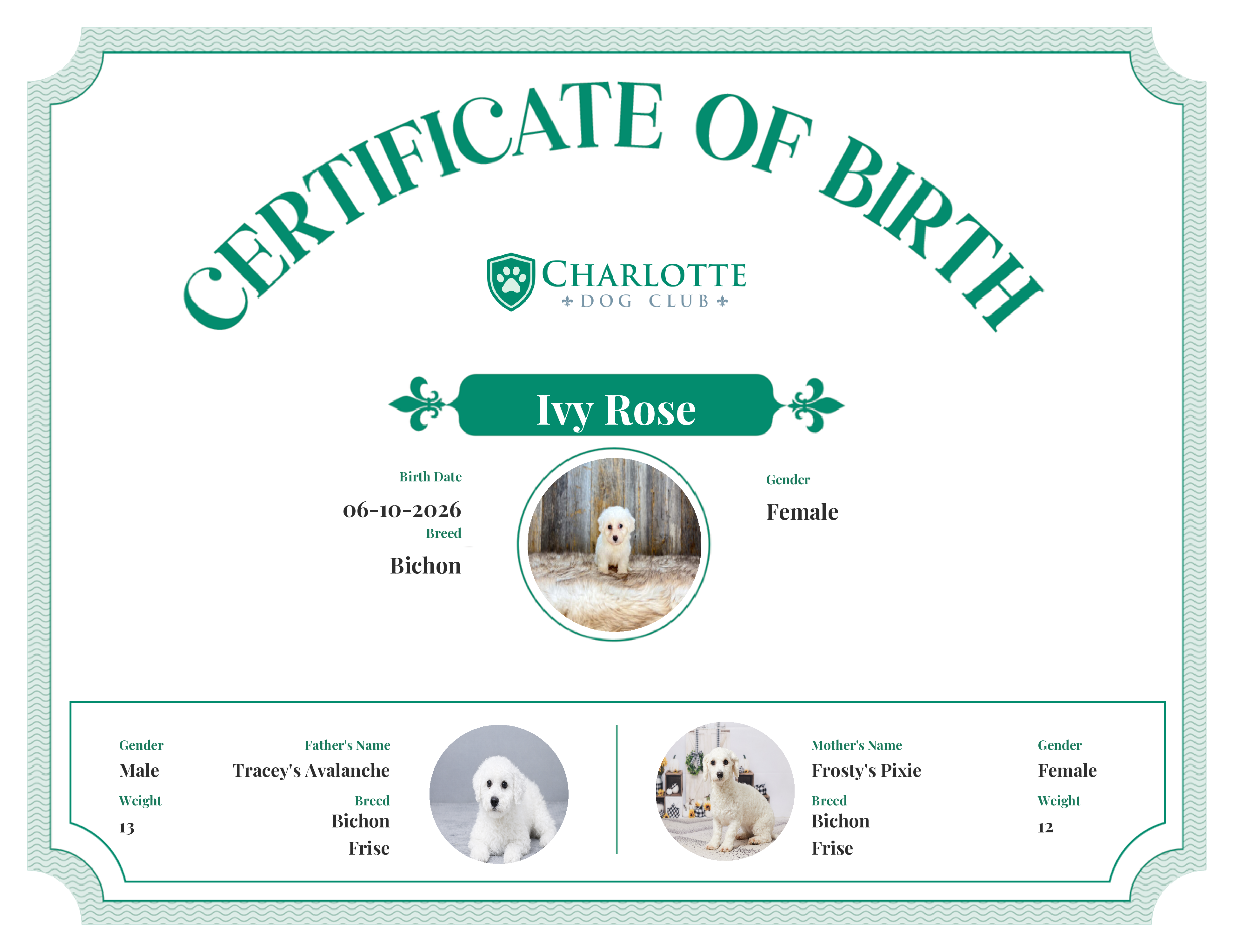 Ivy Rose's Birth Certificate