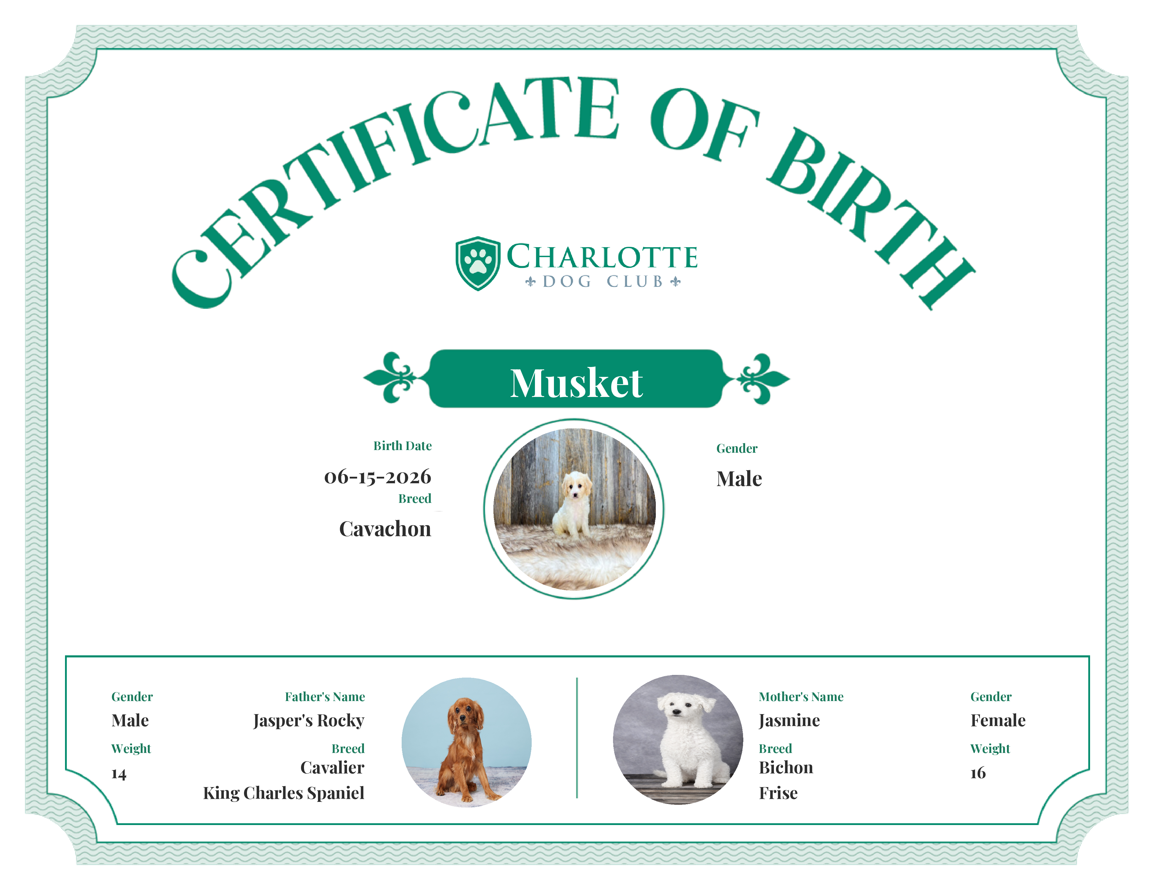Musket's Birth Certificate