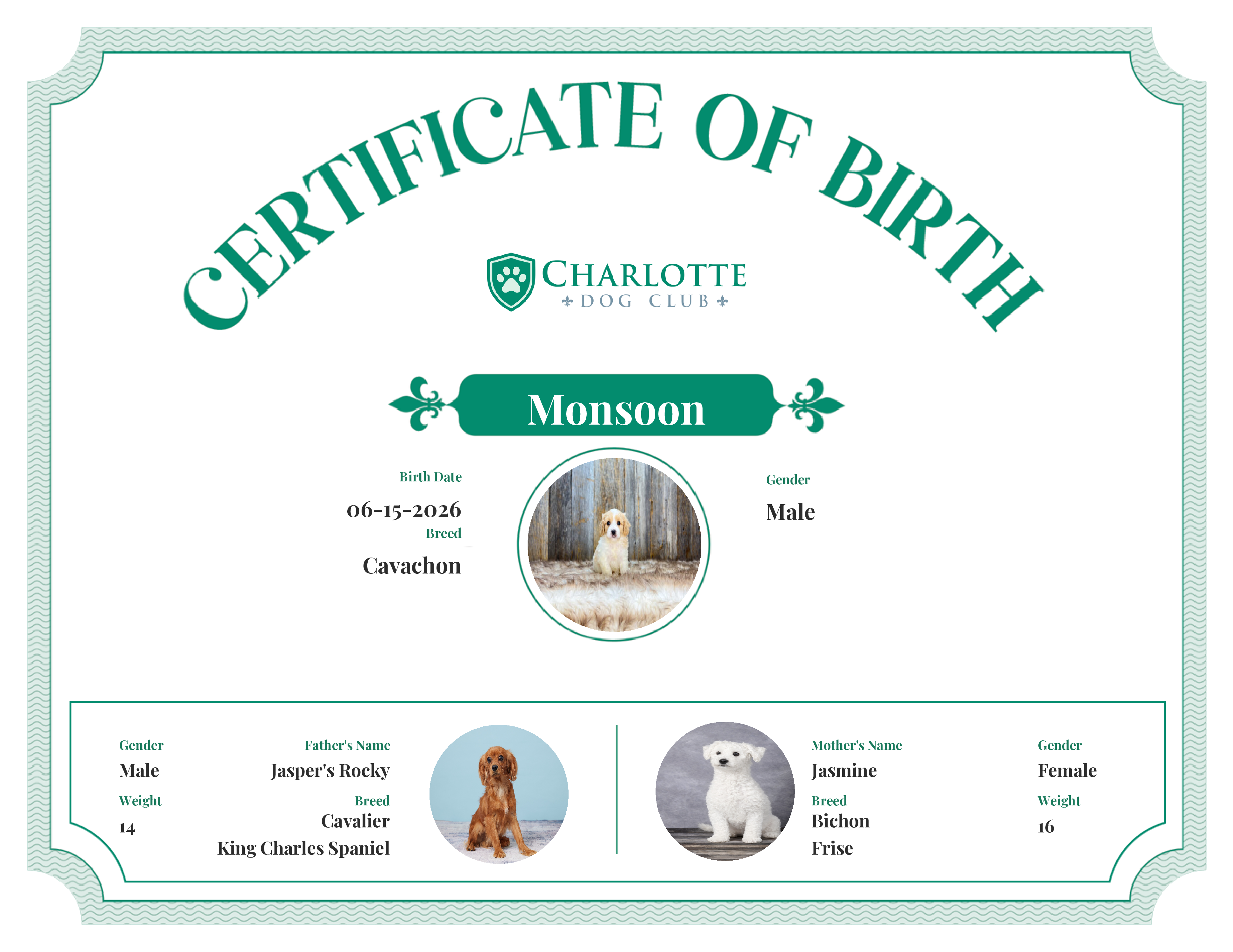 Monsoon's Birth Certificate
