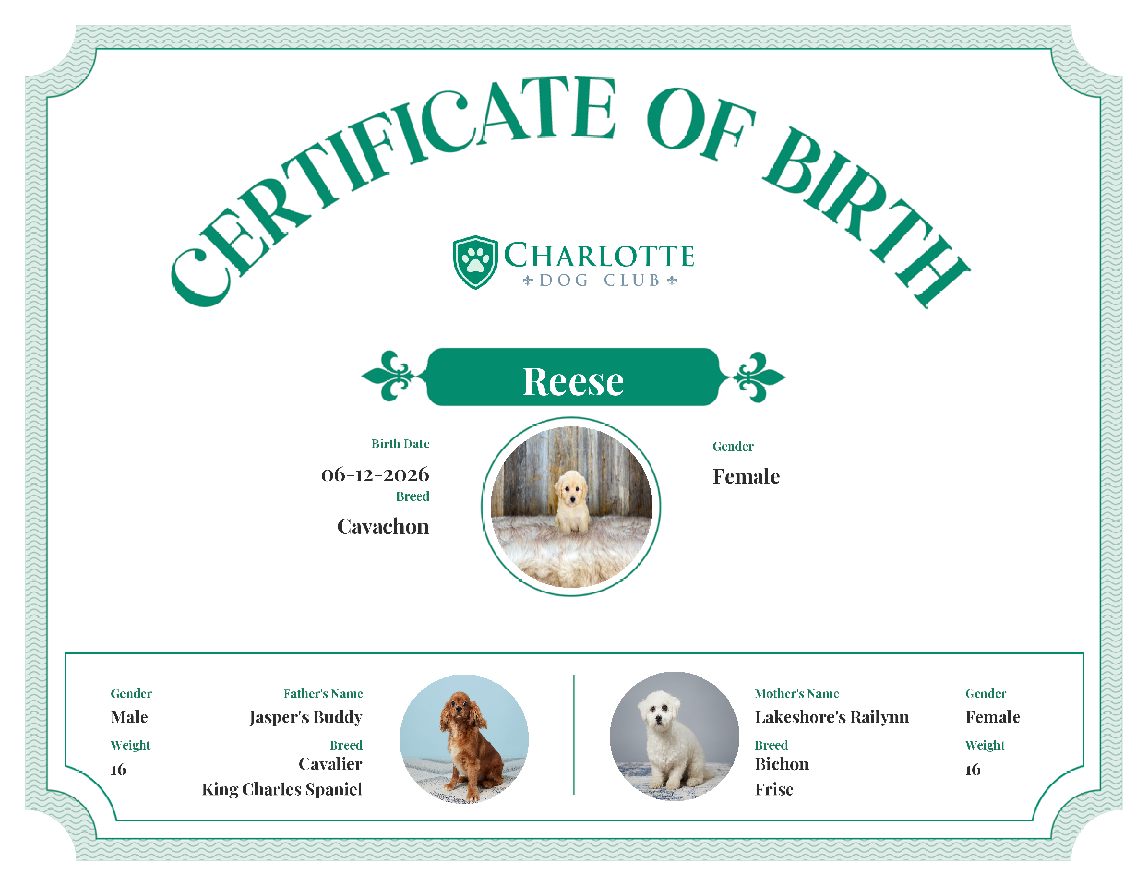 Reese's Birth Certificate