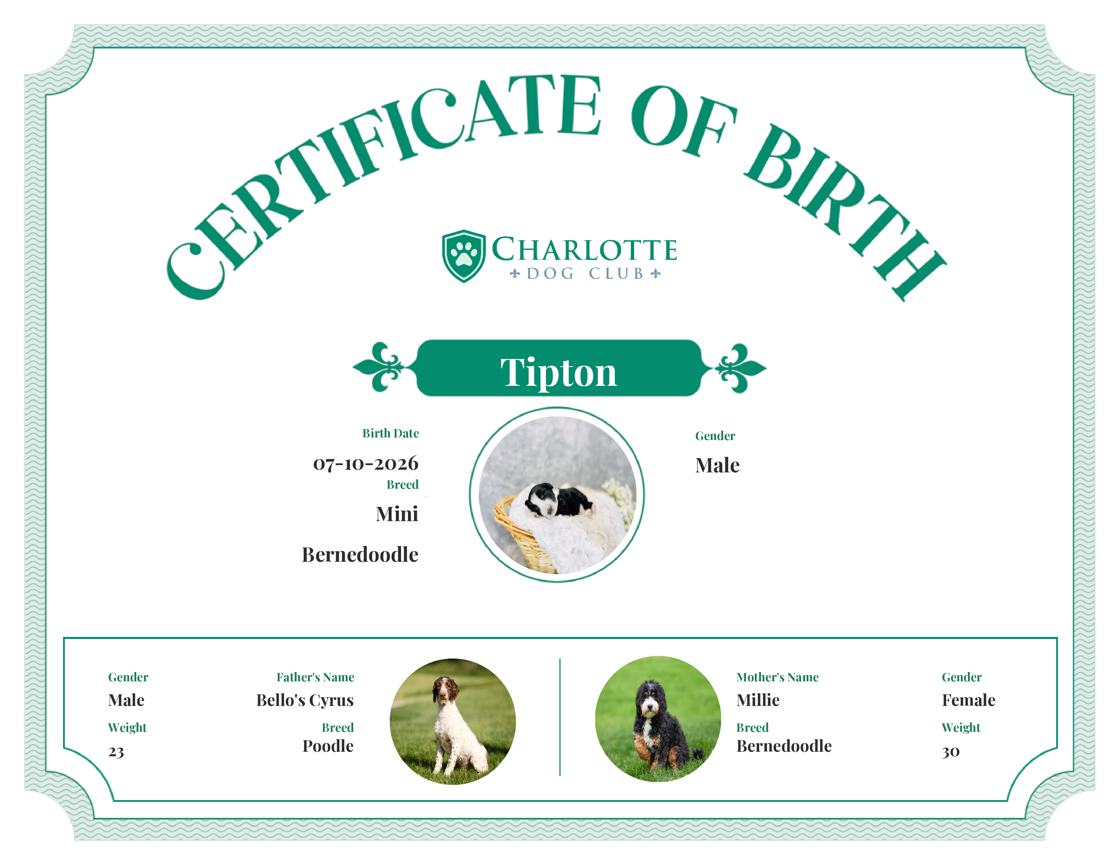 Tipton's Birth Certificate