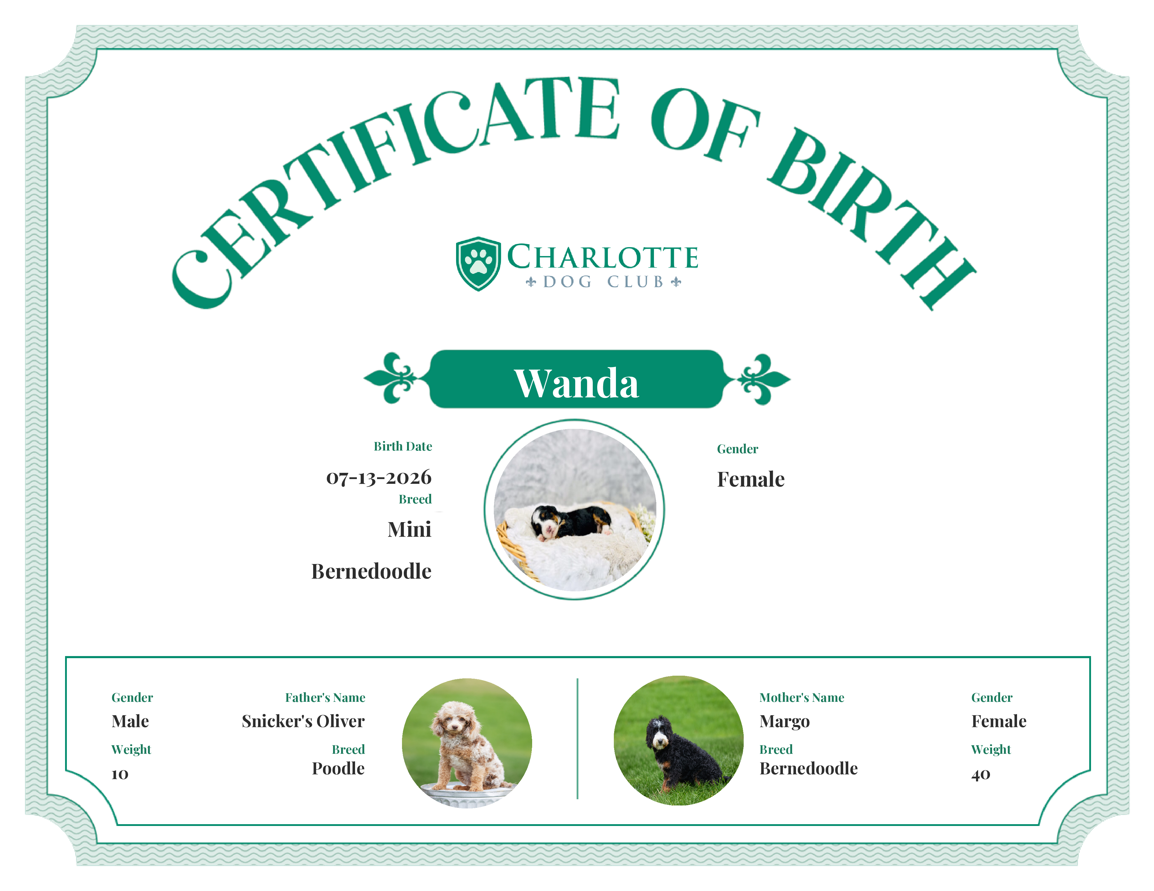 Wanda's Birth Certificate