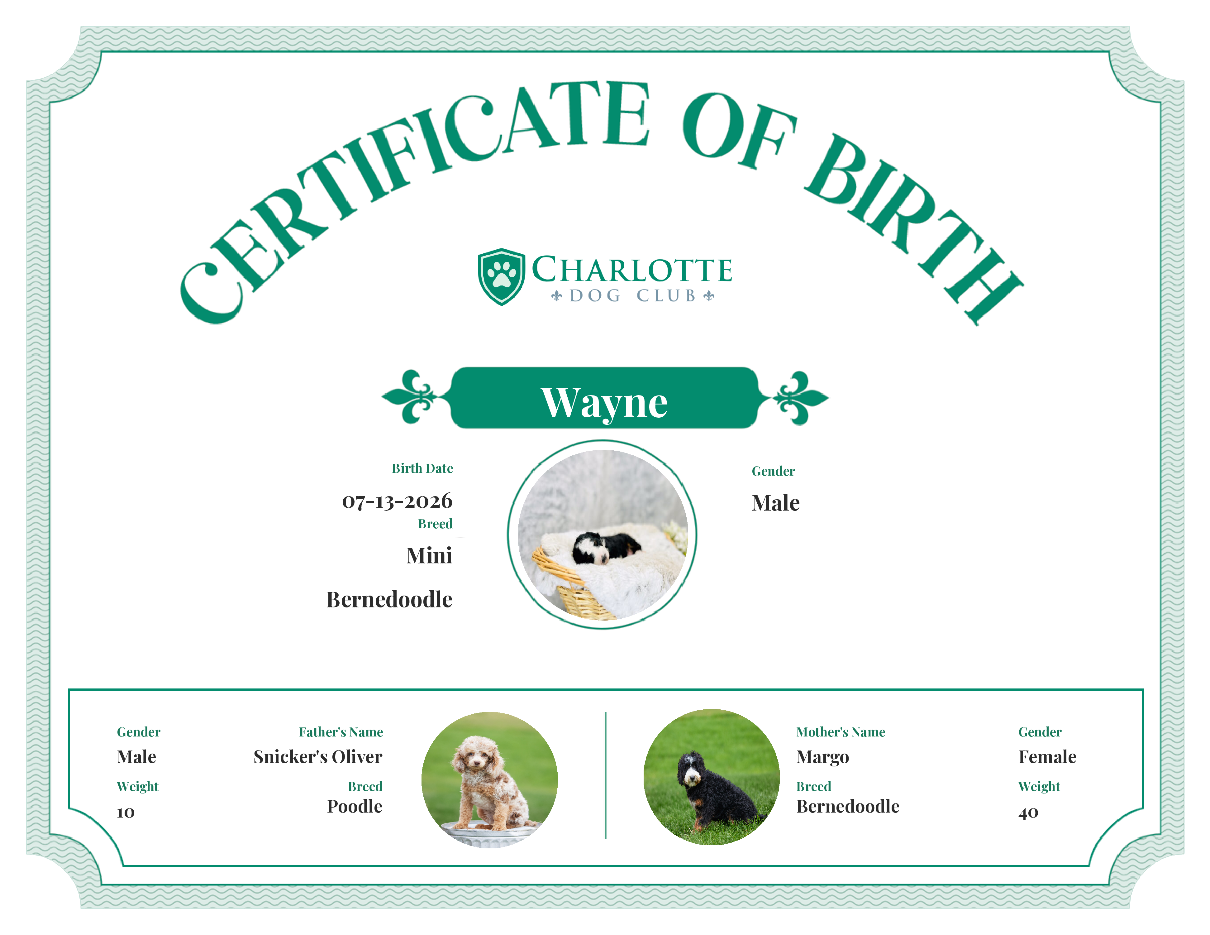 Wayne's Birth Certificate