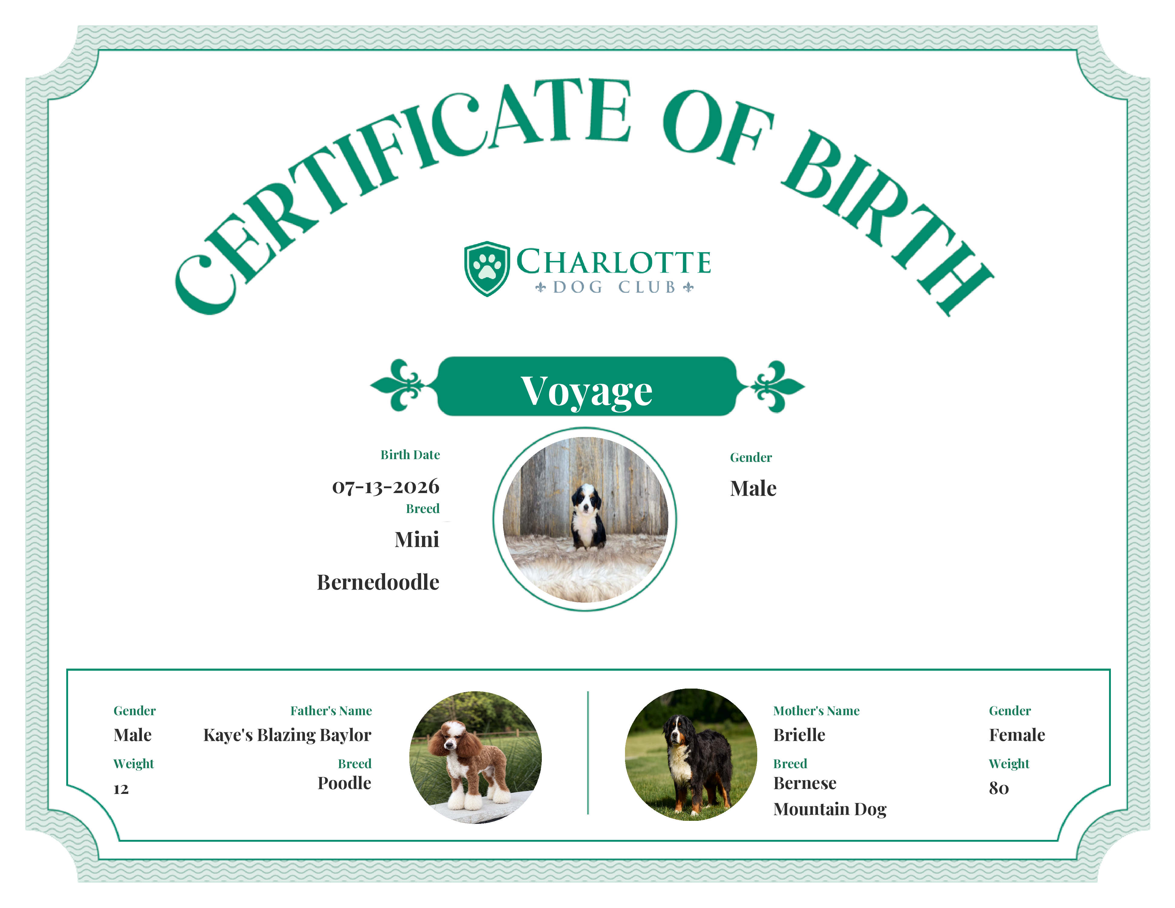 Voyage's Birth Certificate