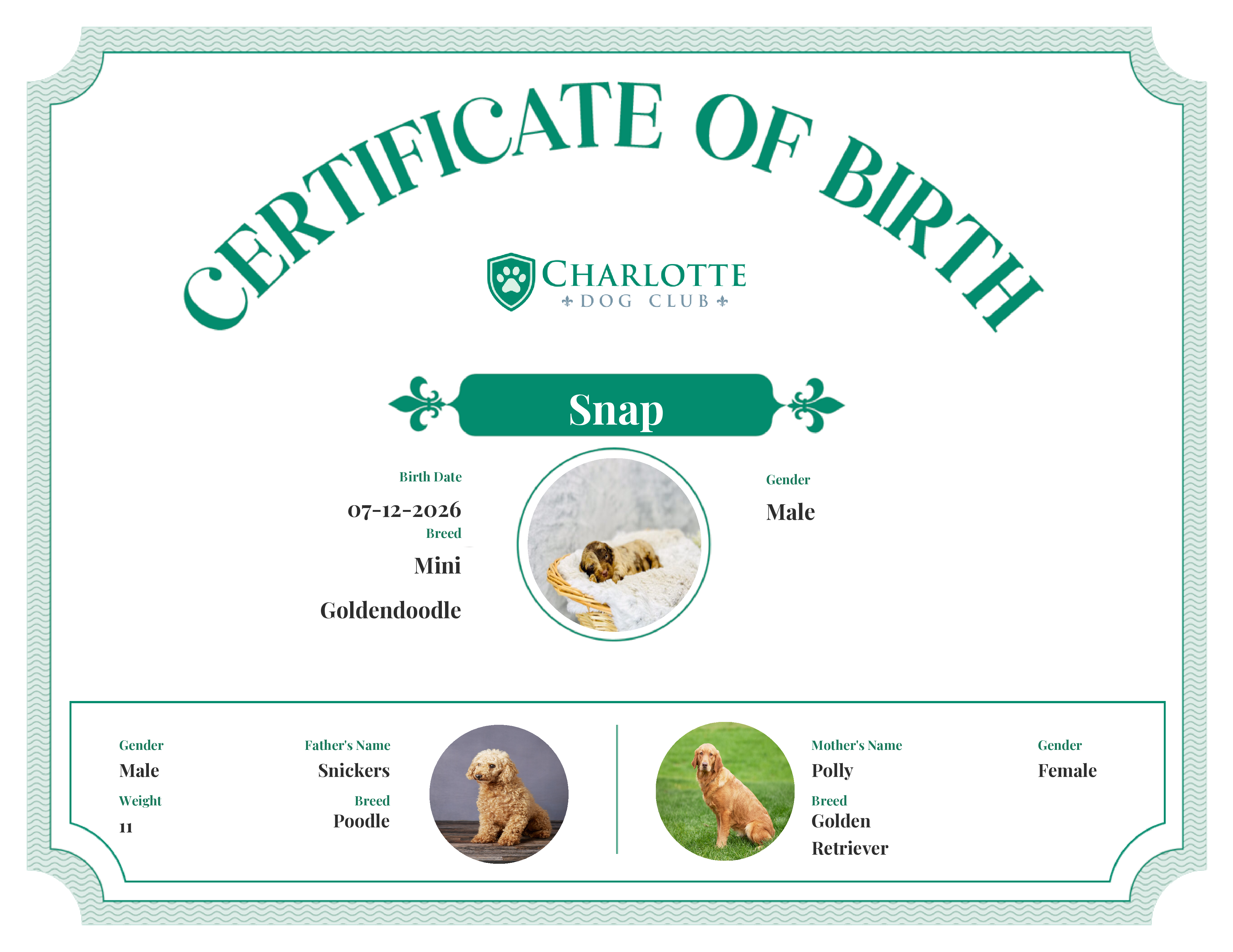 Snap's Birth Certificate
