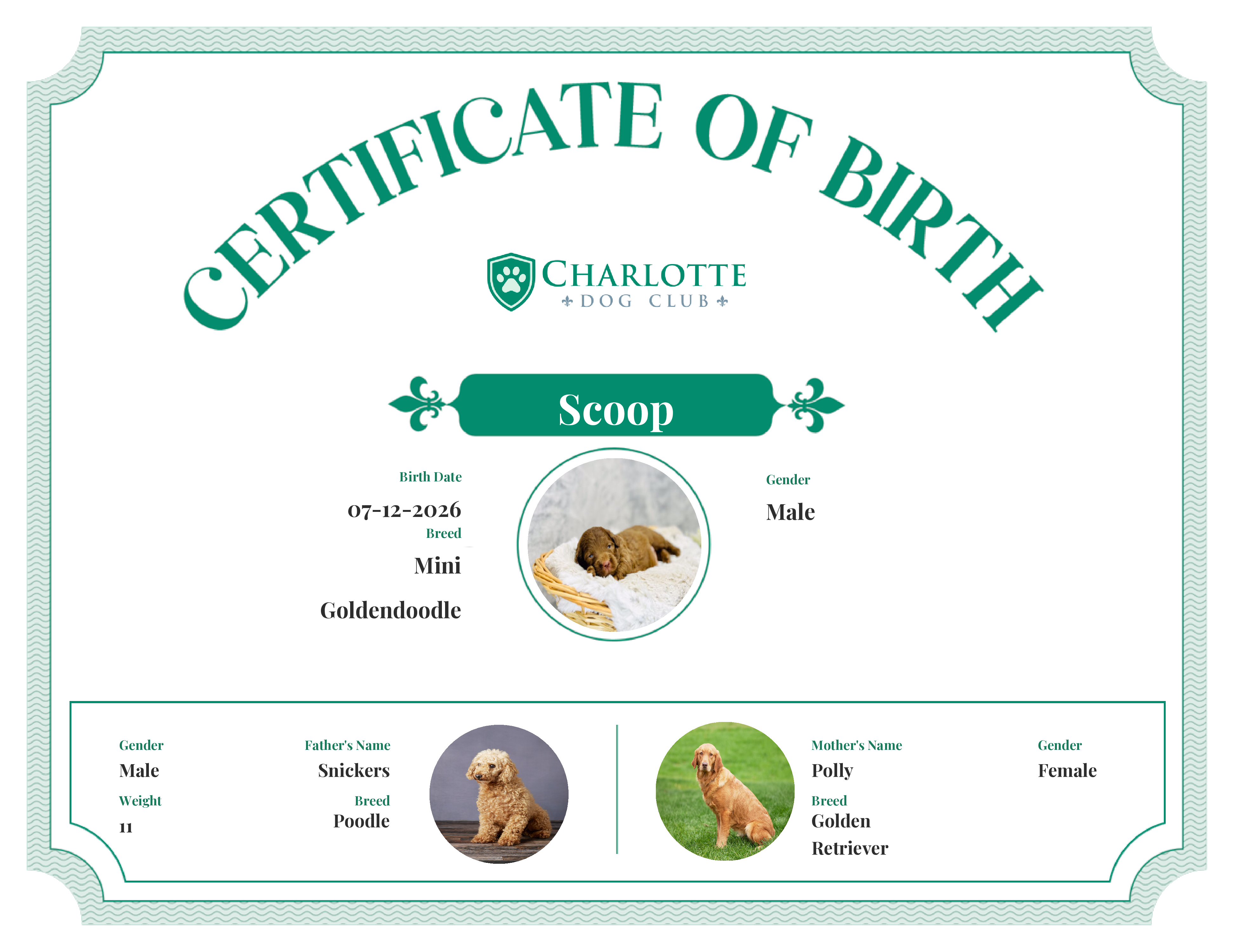 Scoop's Birth Certificate