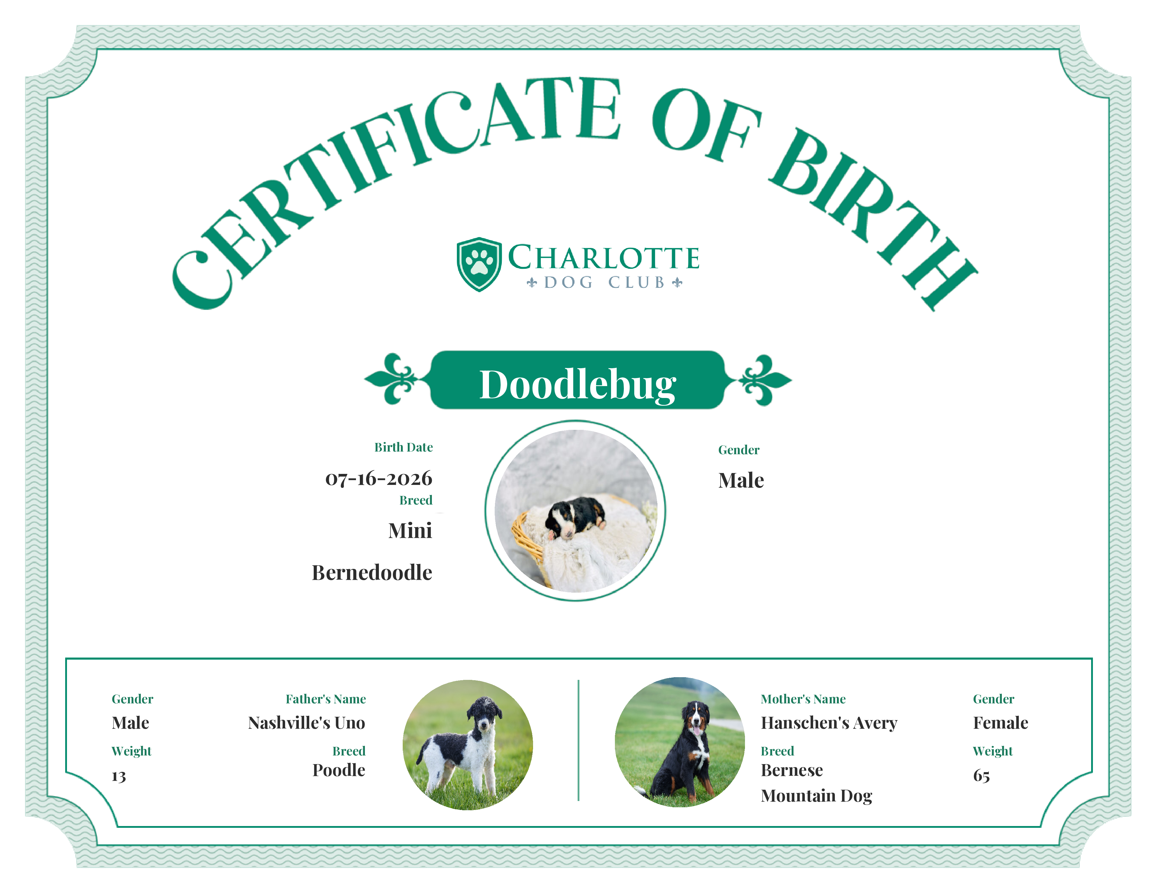 Doodlebug's Birth Certificate