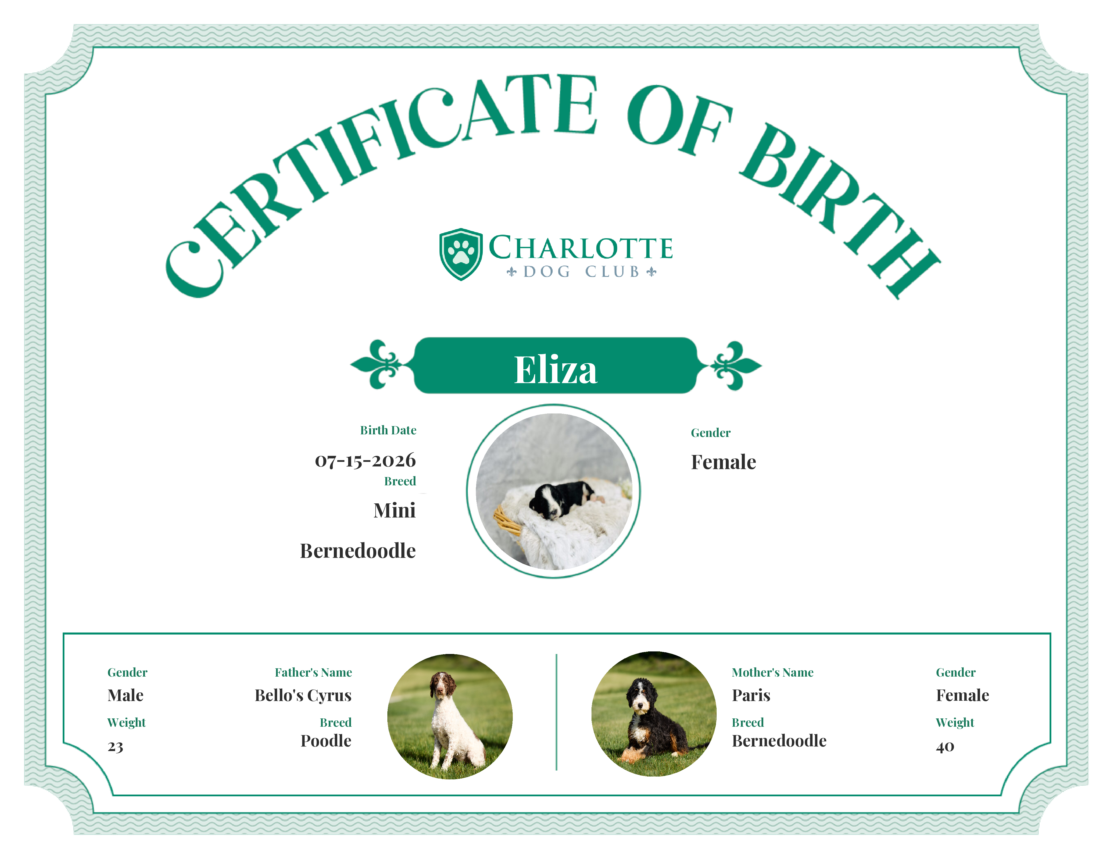 Eliza's Birth Certificate