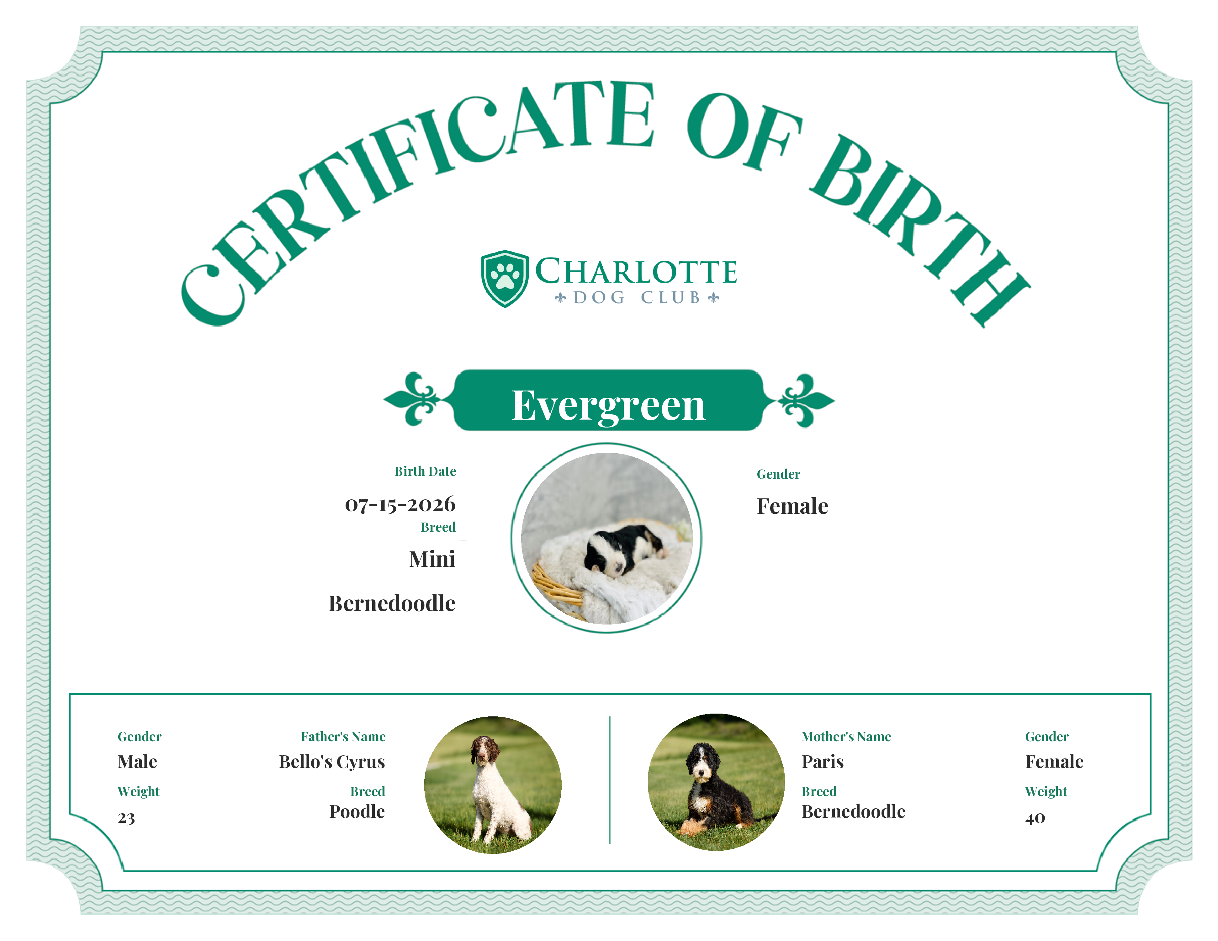 Evergreen's Birth Certificate