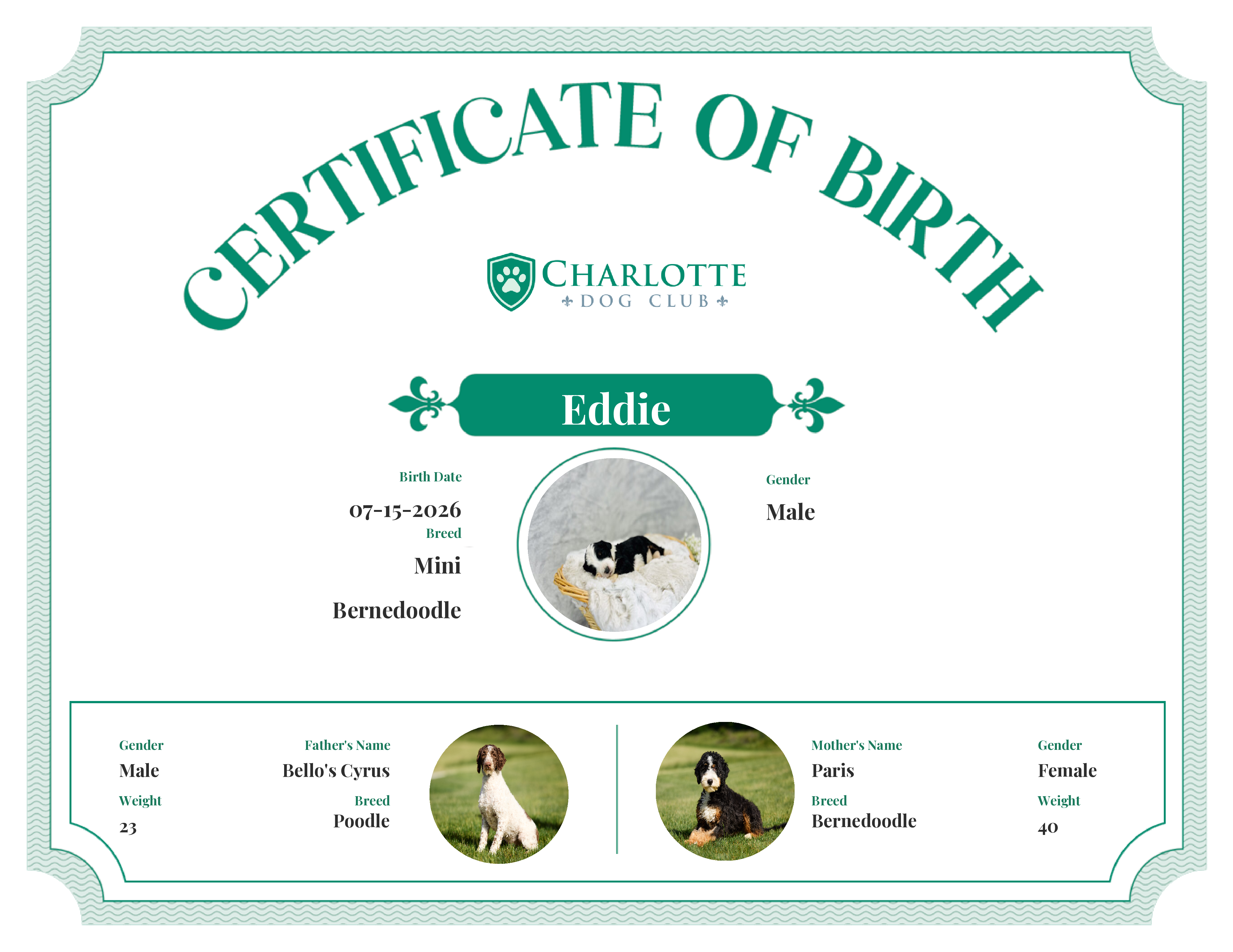 Eddie's Birth Certificate