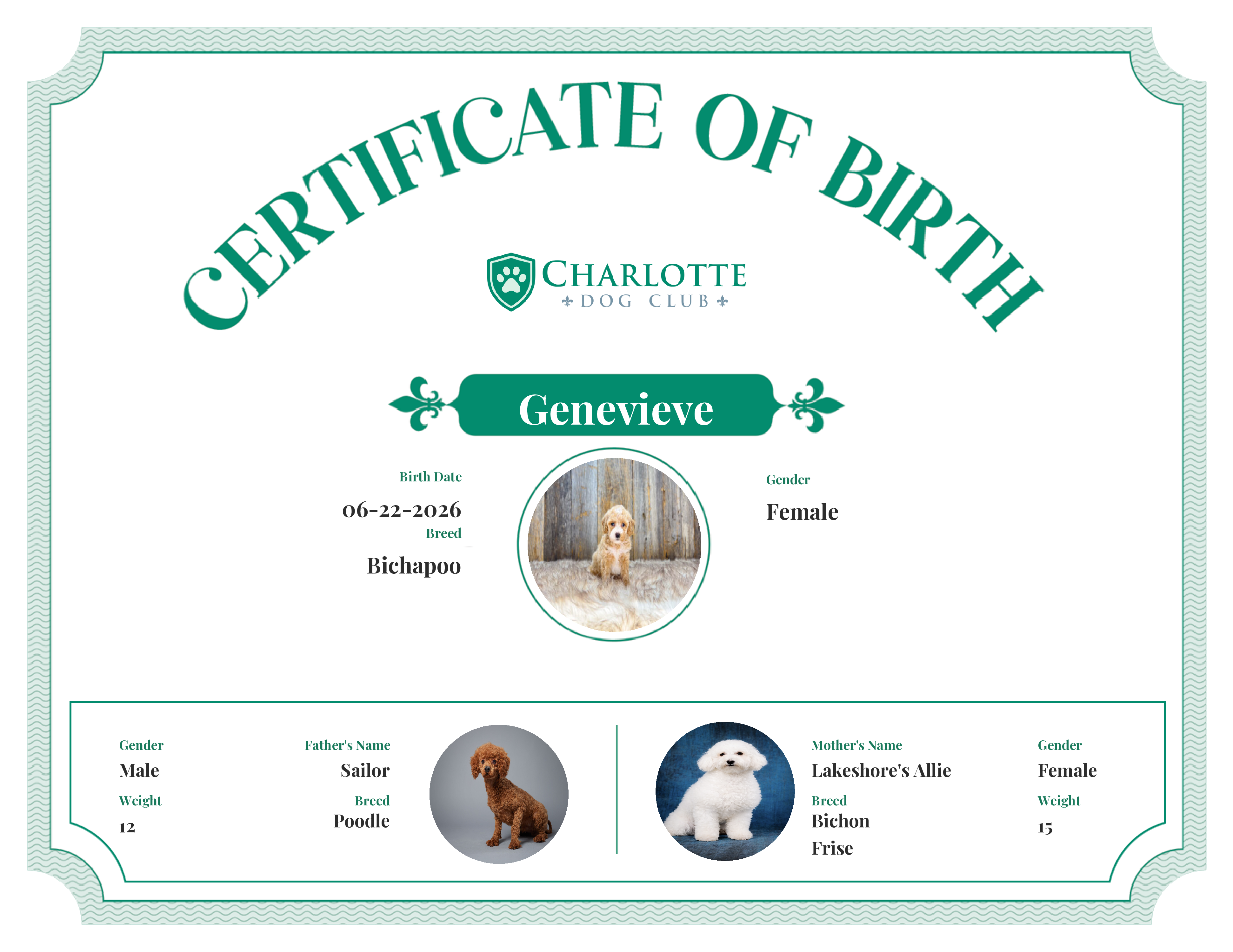 Genevieve's Birth Certificate