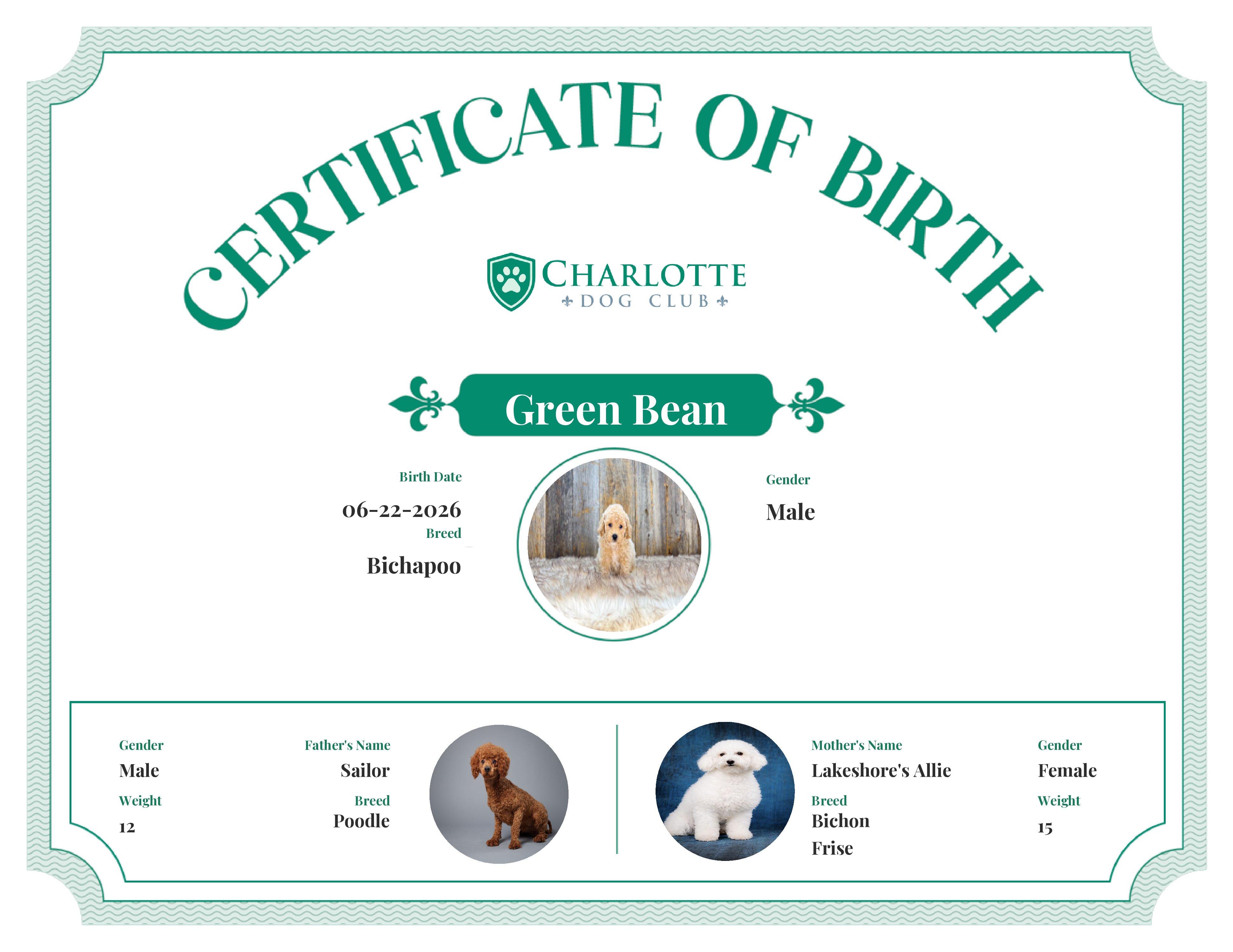 Green Bean's Birth Certificate