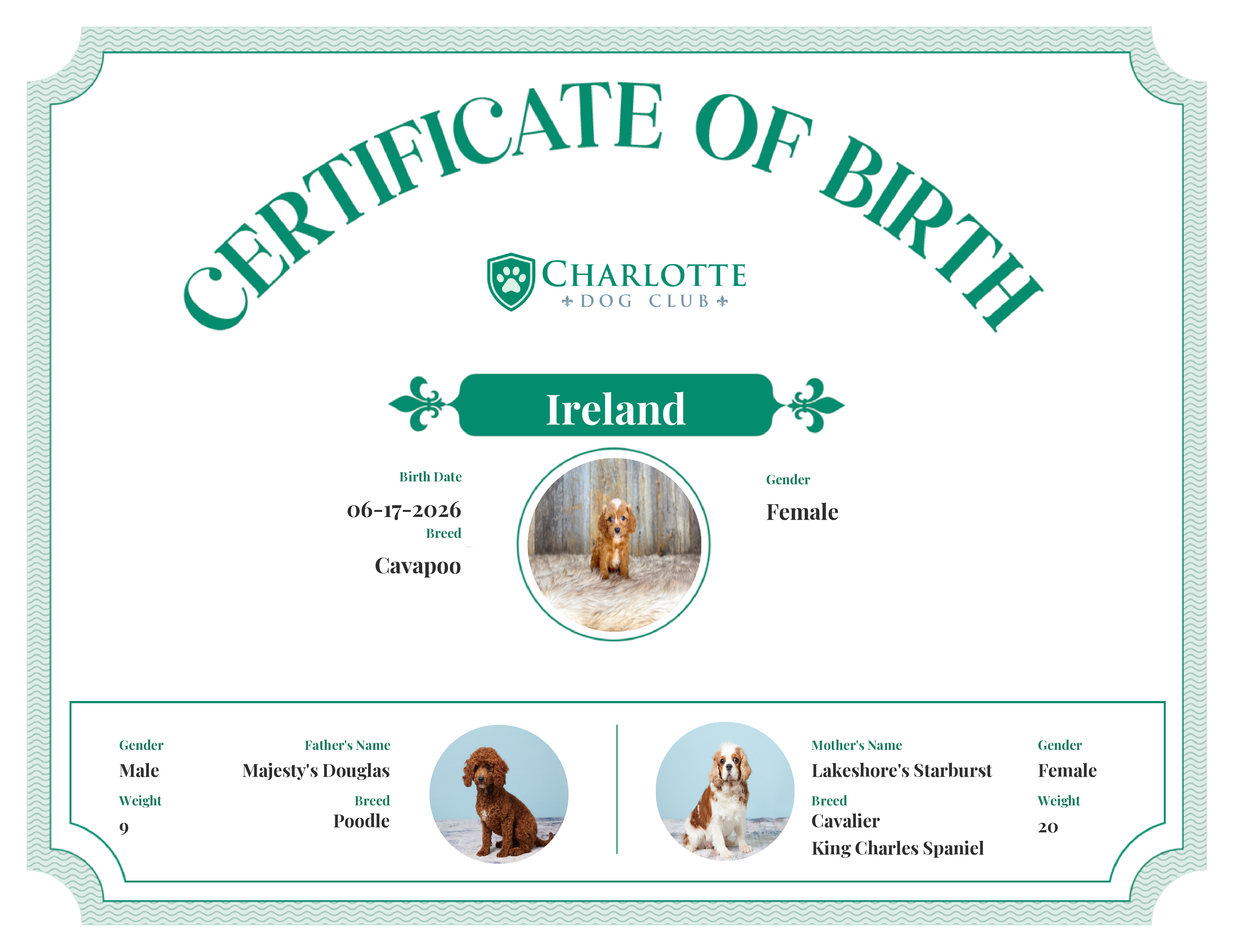 Ireland's Birth Certificate