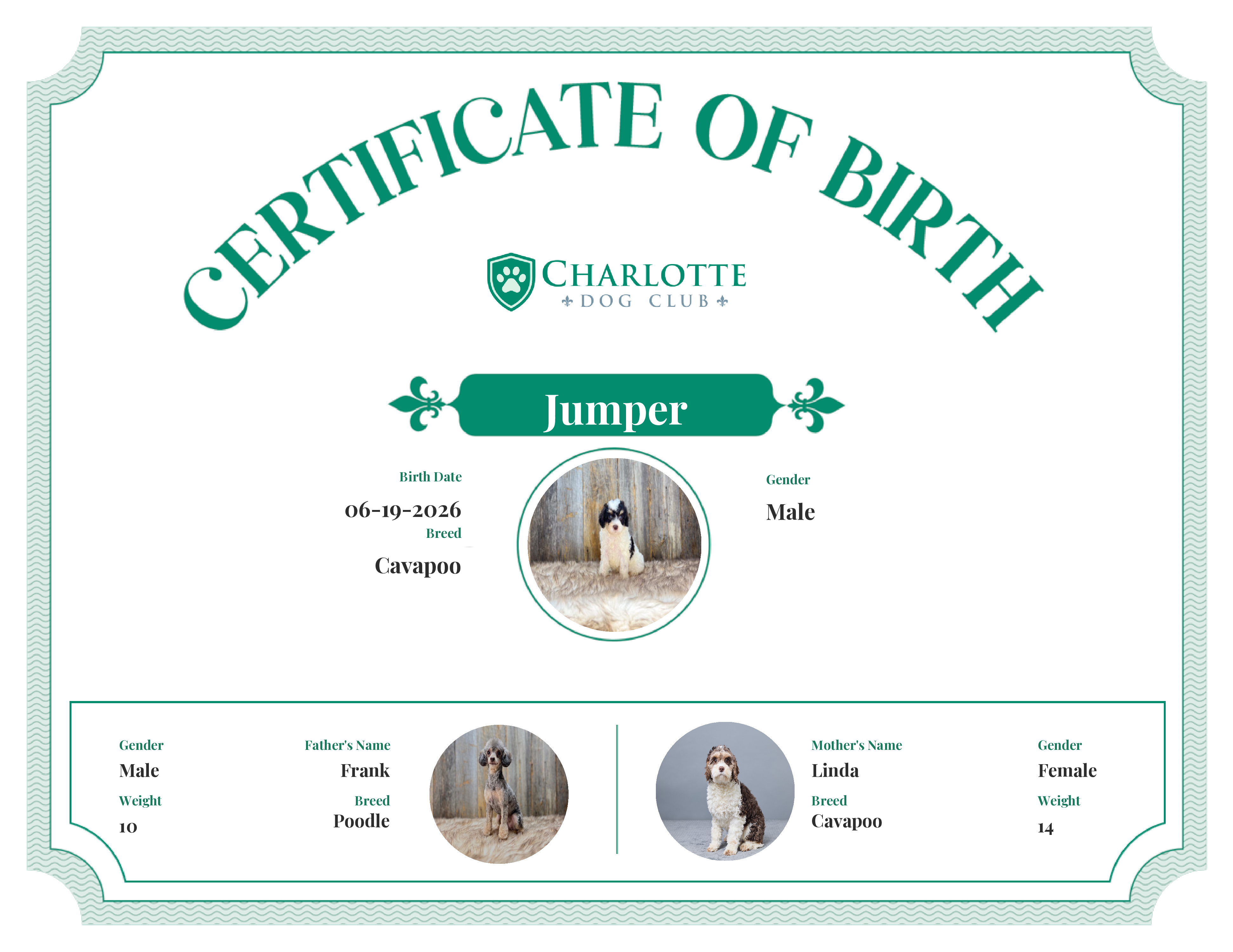 Jumper's Birth Certificate