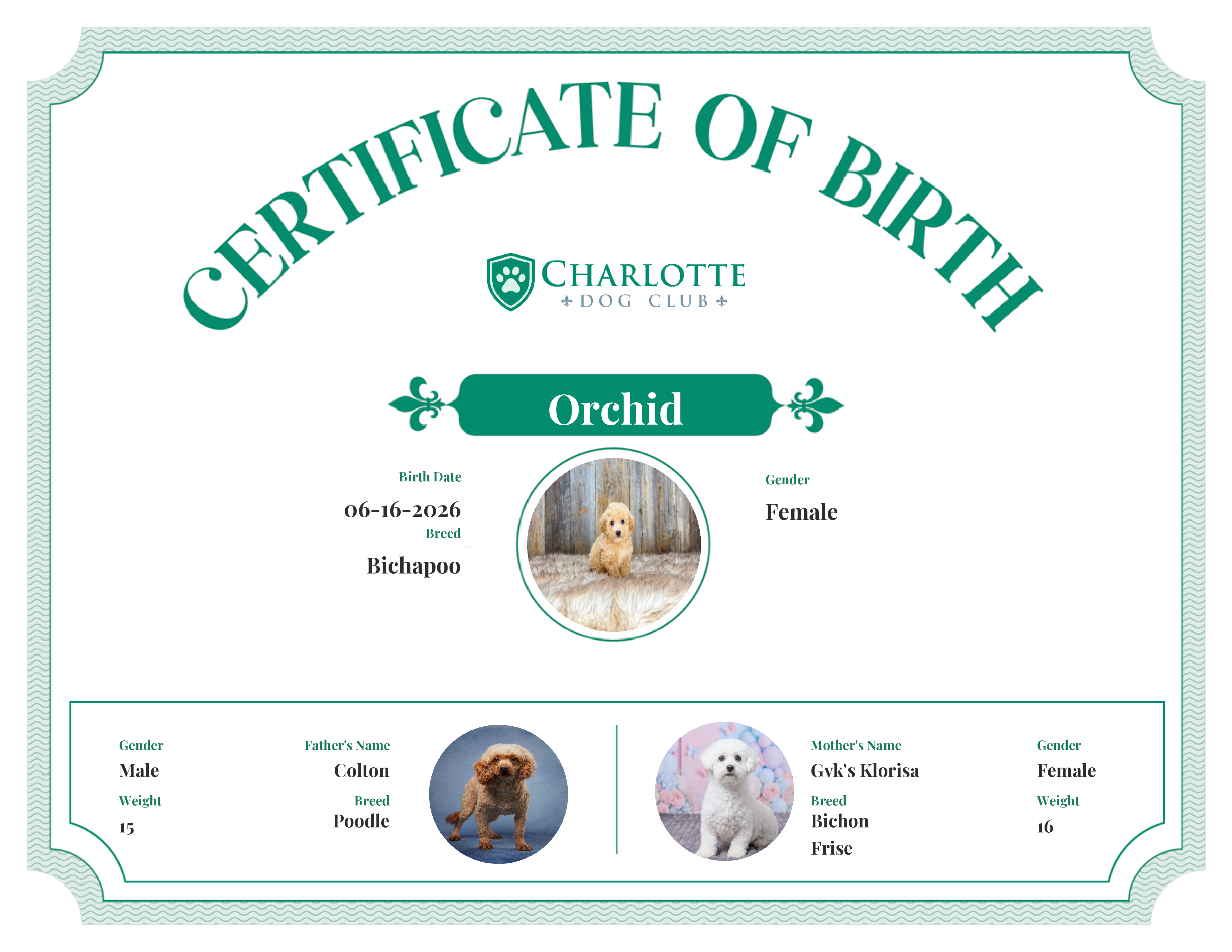 Orchid's Birth Certificate